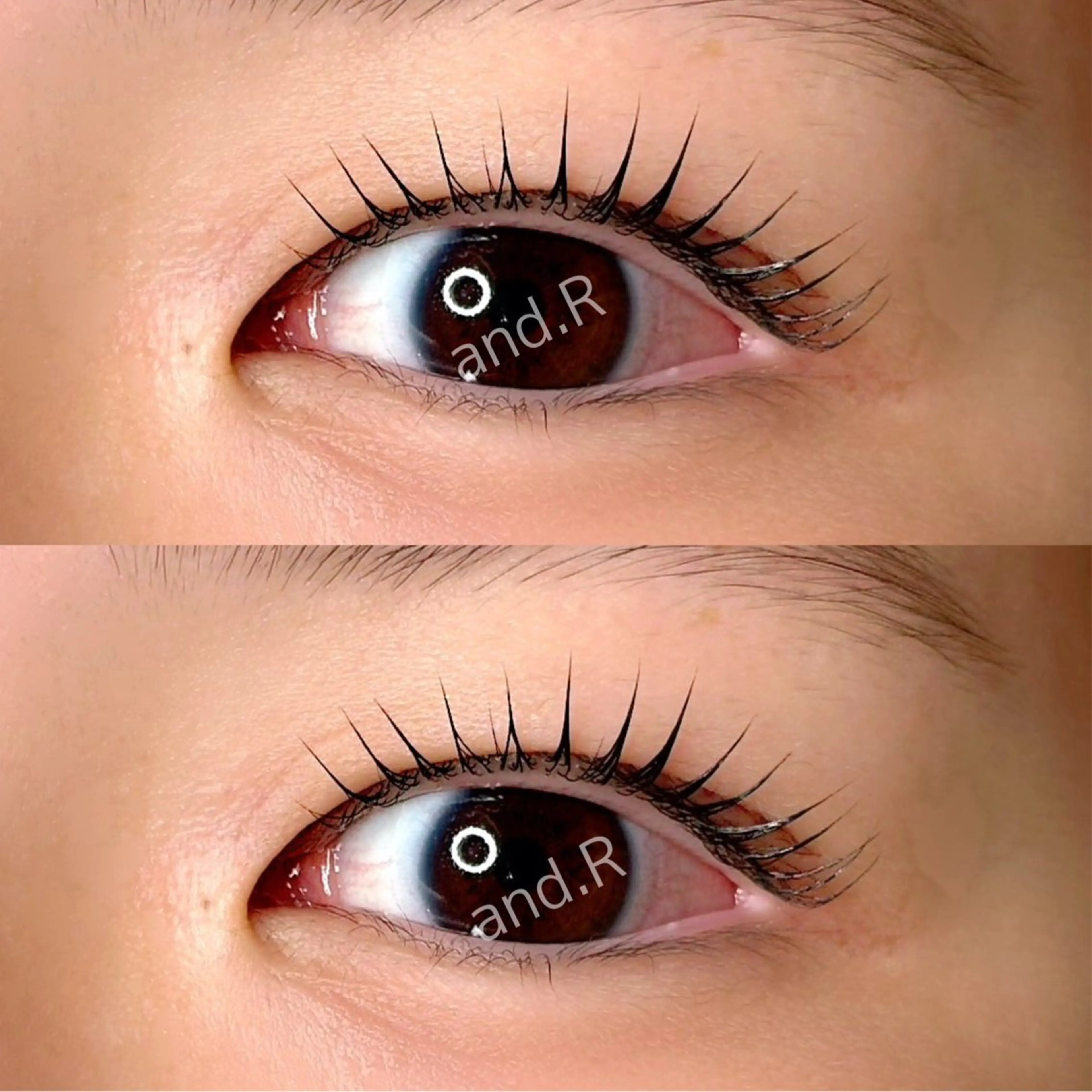 🎀ご新規さま限定🎀ラッシュリフトカール /トリートメント&コーティング仕上げ付き♪の写真