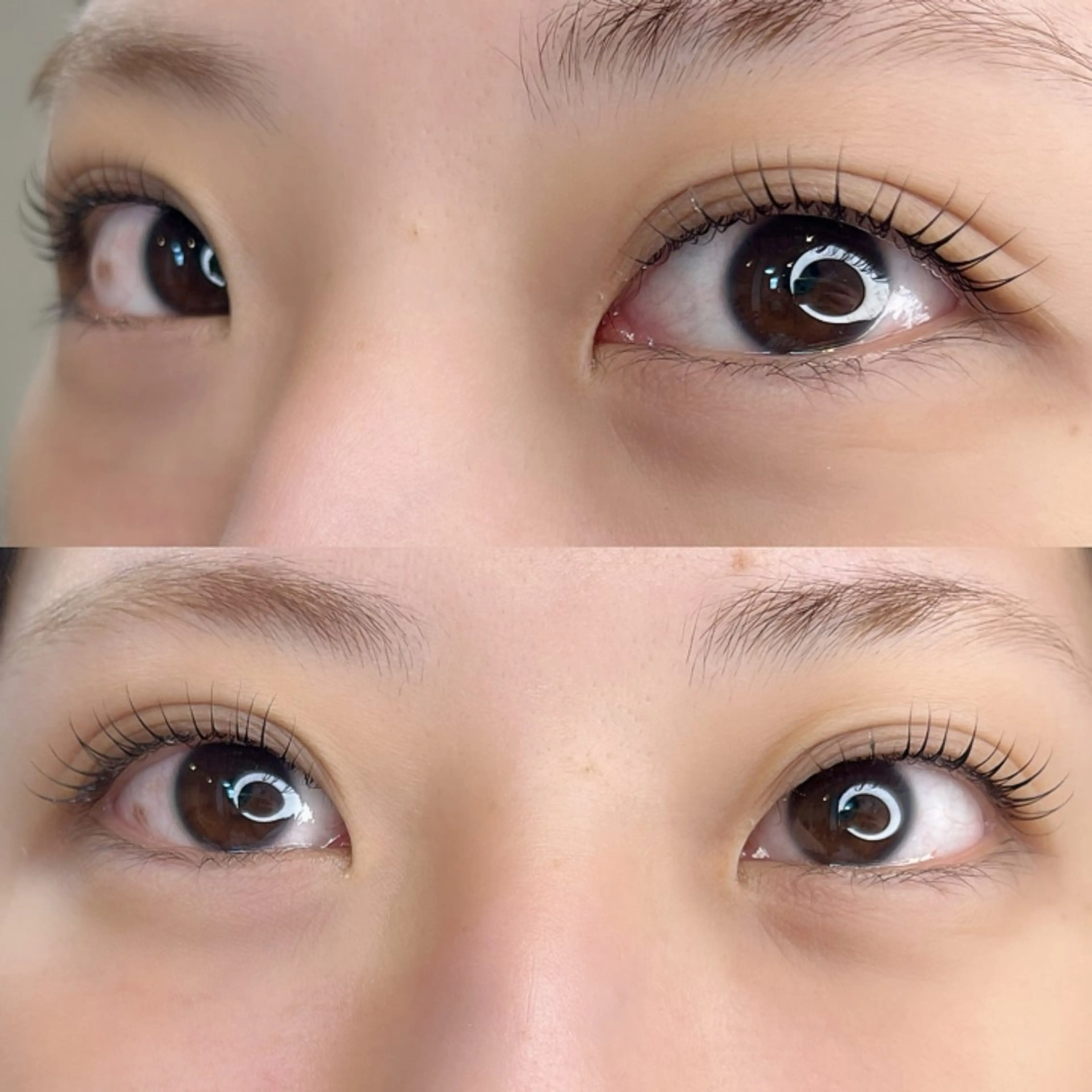 マツエク・マツパ まつげパーマ マツパ LeCre 🩵八木下の眉毛・アイブロウイメージ