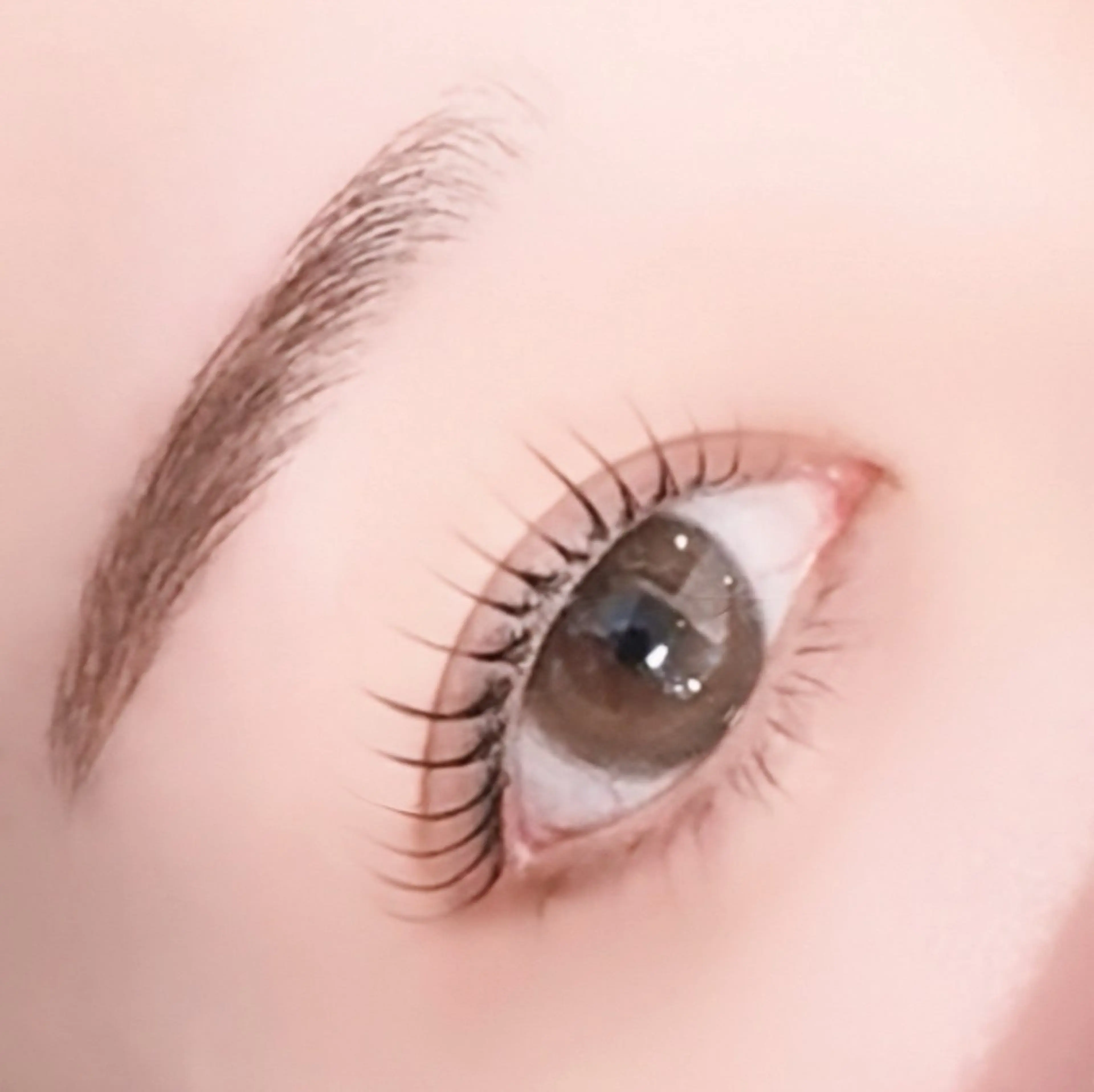 マツエク・マツパ avectoi 𝓻𝓲𝓷𝓪の眉毛・アイブロウイメージ