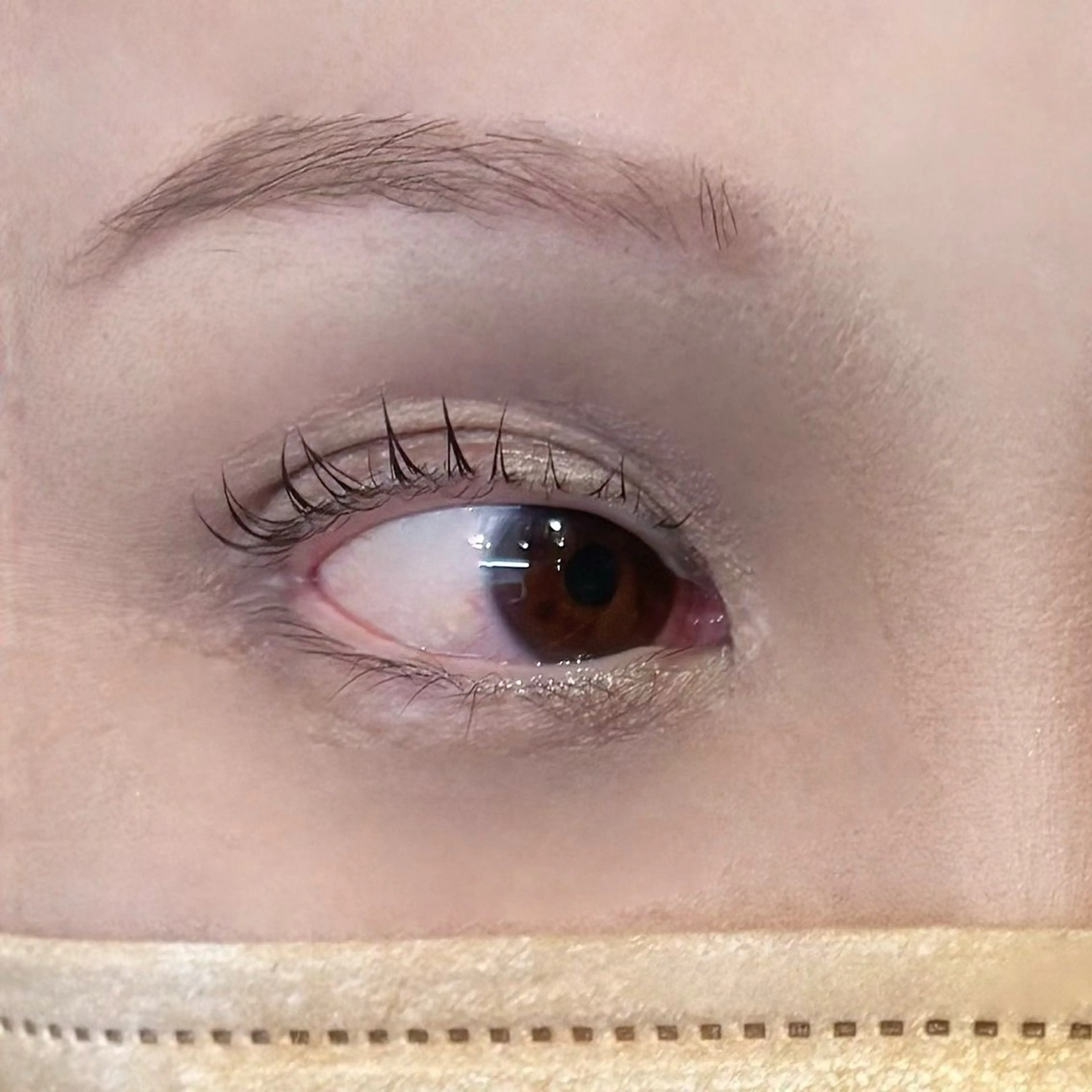 まつげパーマ (上のみ) 90分 練習モデルのため お直し、返金不可の写真