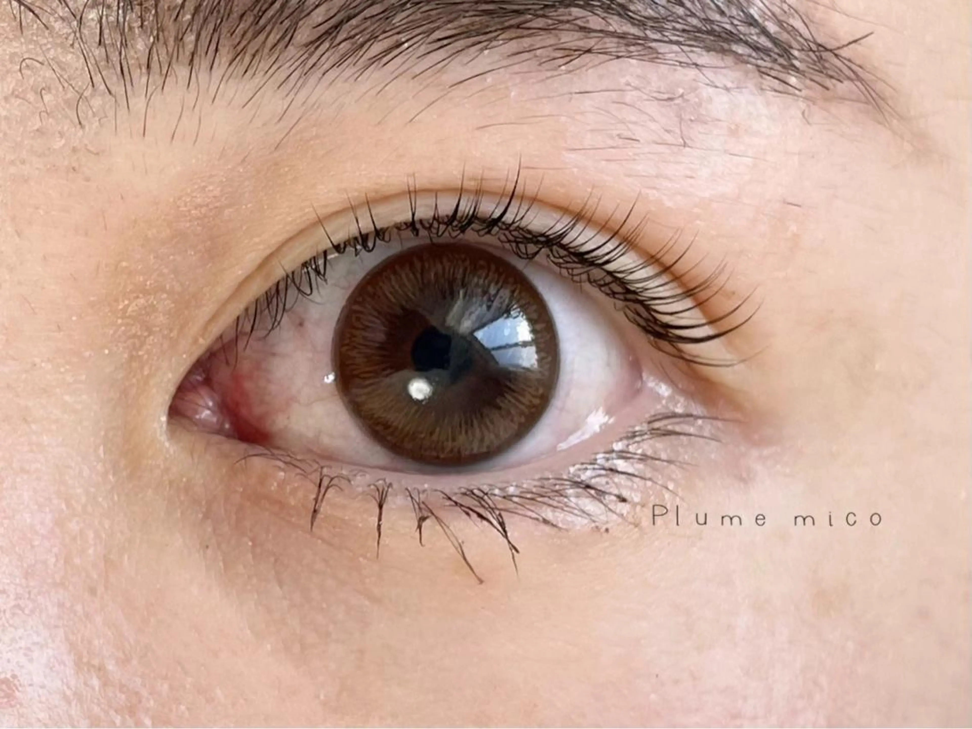 マツエク・マツパ マツパ Plume micoのマツエク・マツパデザイン