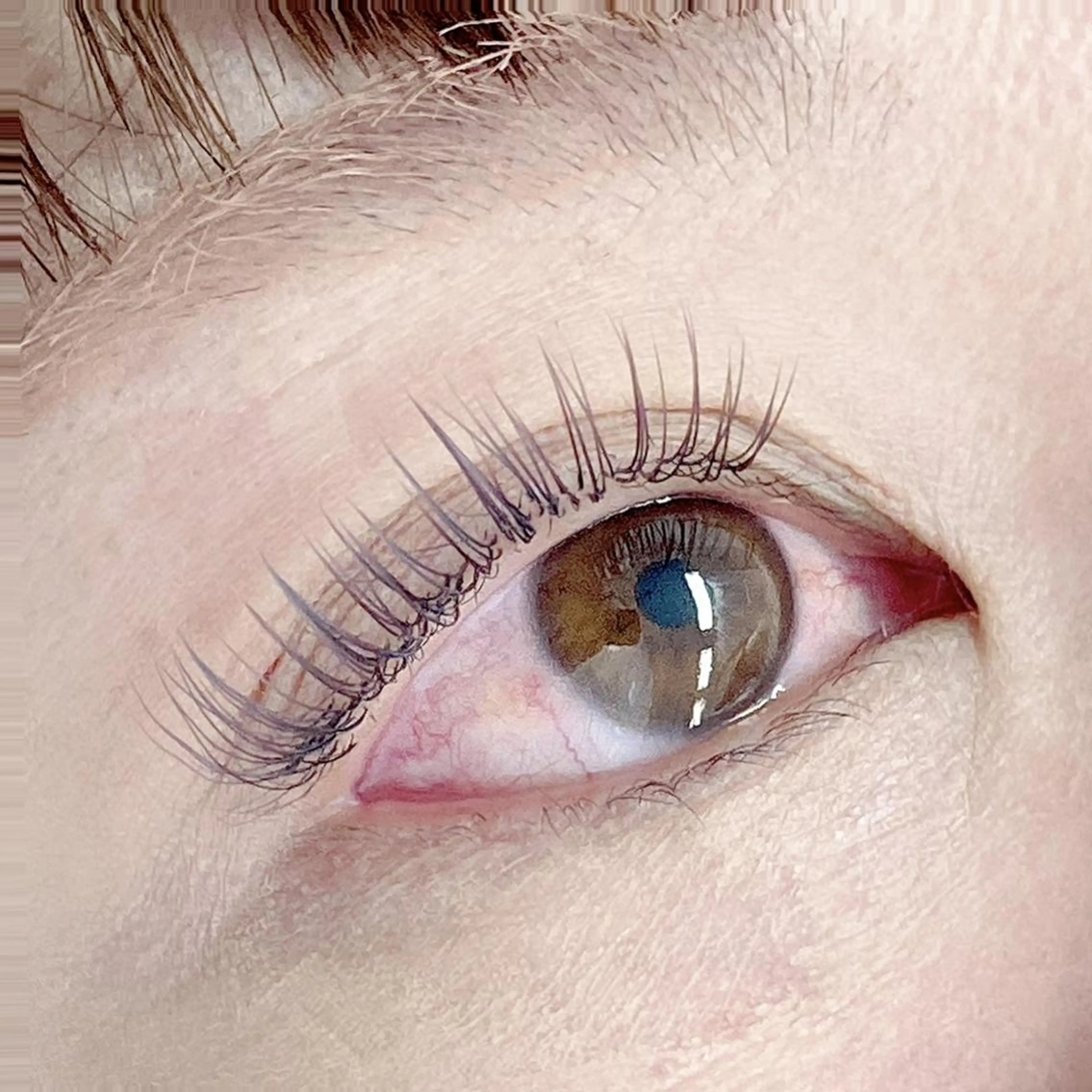 マツエク・マツパ eyeHbe TERAのマツエク・マツパデザイン