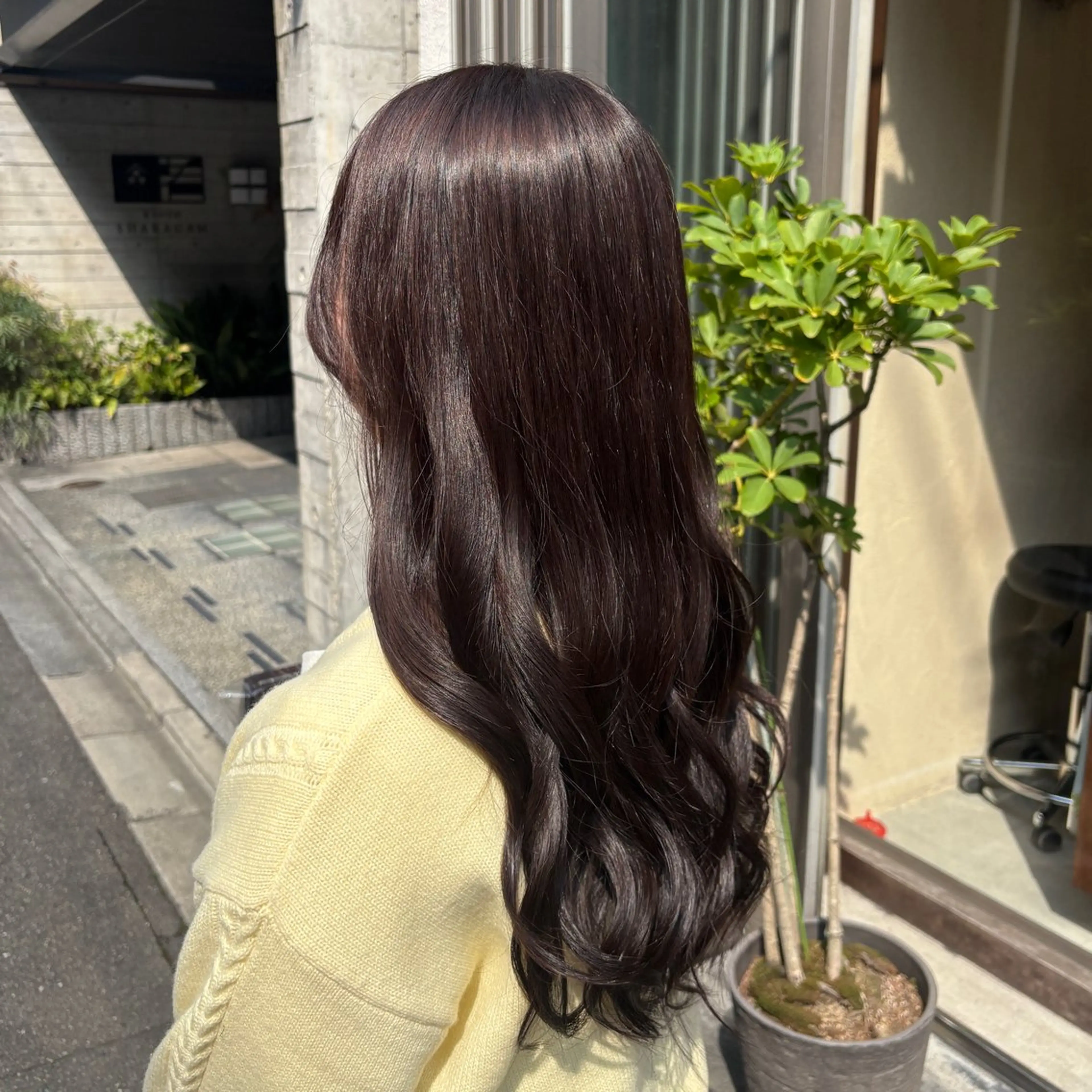 ロング カラー ブラウンカラー ナチュラルブラウン カットカラーモデル 募集🌼/星山沙希のヘアスタイル