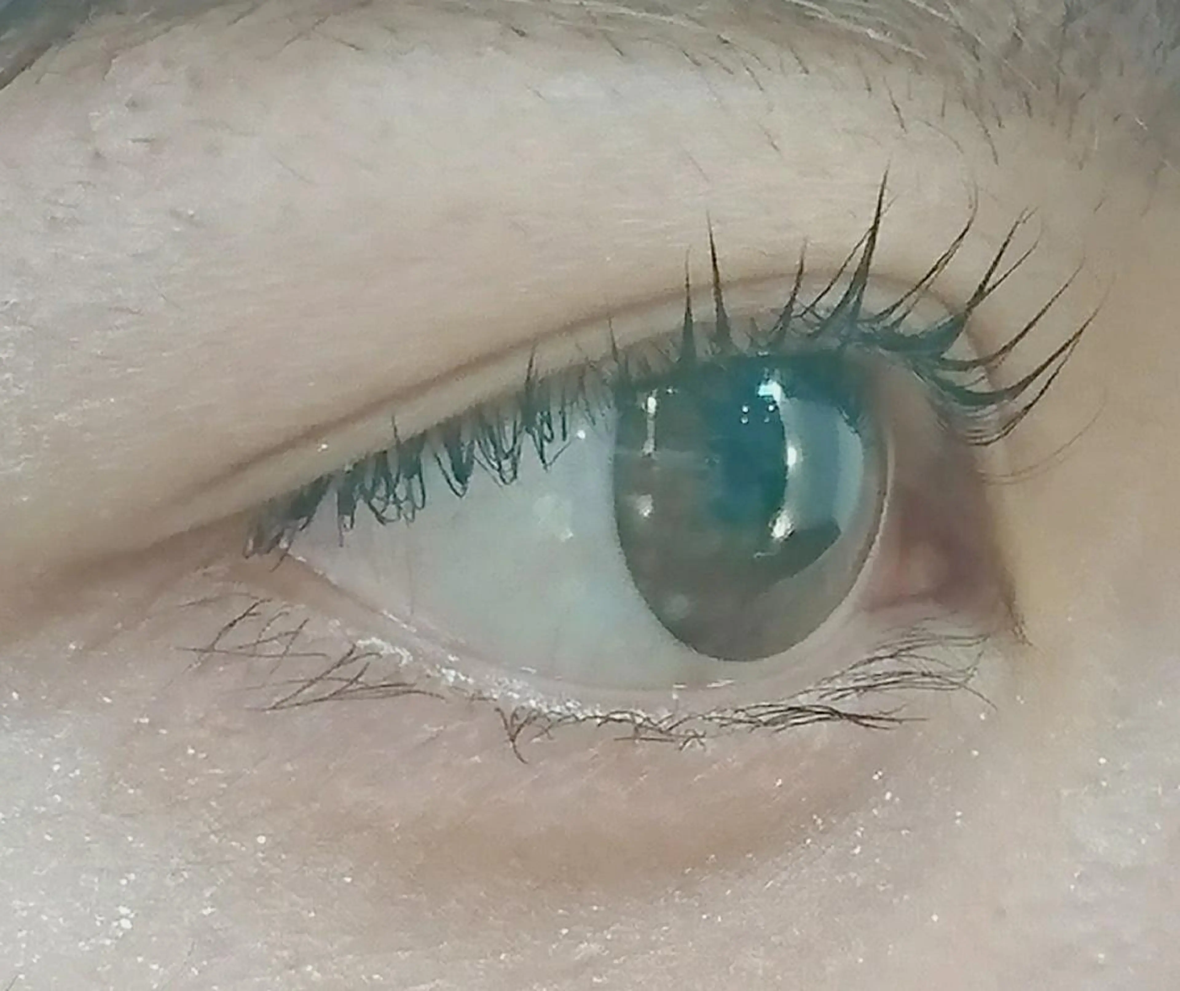 マツエク・マツパ まつげパーマ celeste eyeのマツエク・マツパデザイン