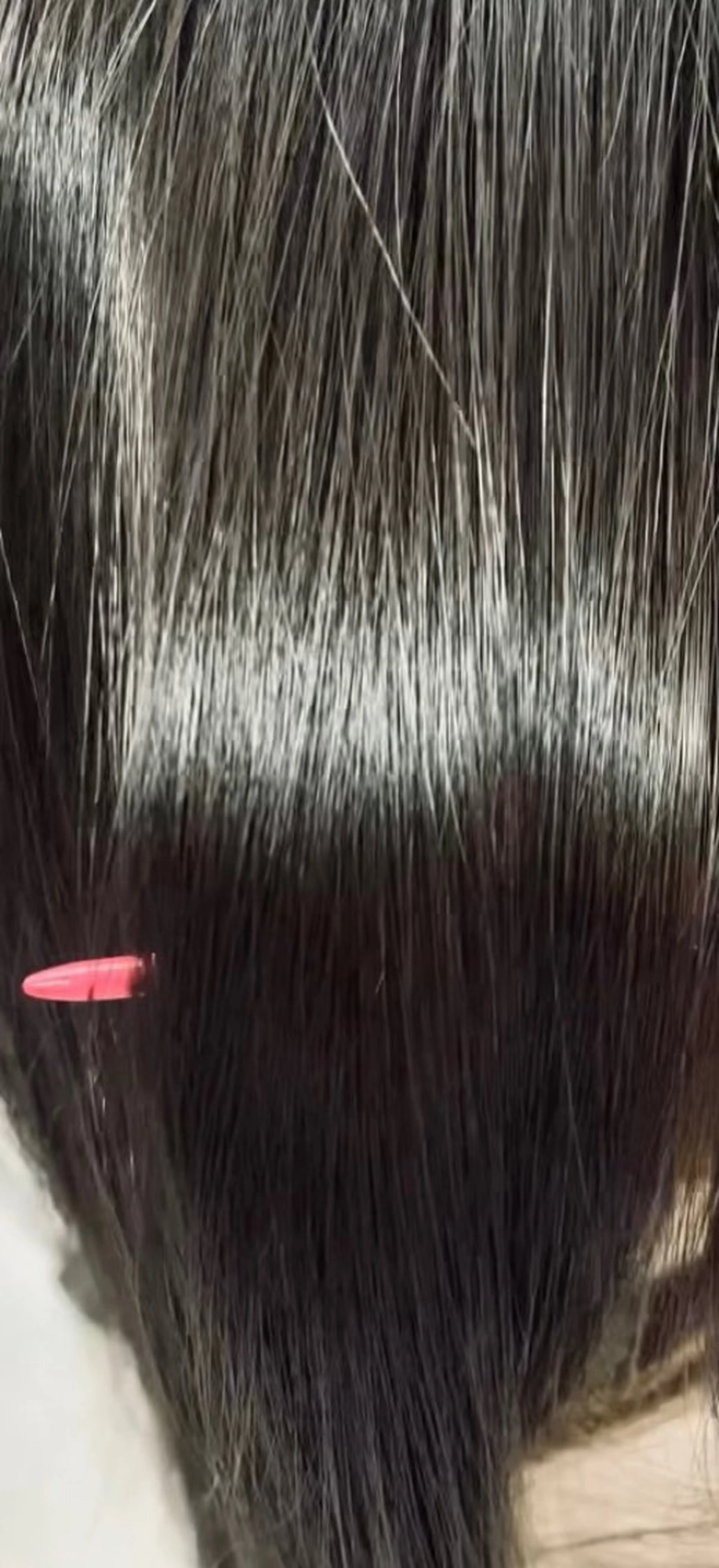 ロング ウルフ・ハイレイヤー 🌟ナカノ・ユウヤのヘアスタイル