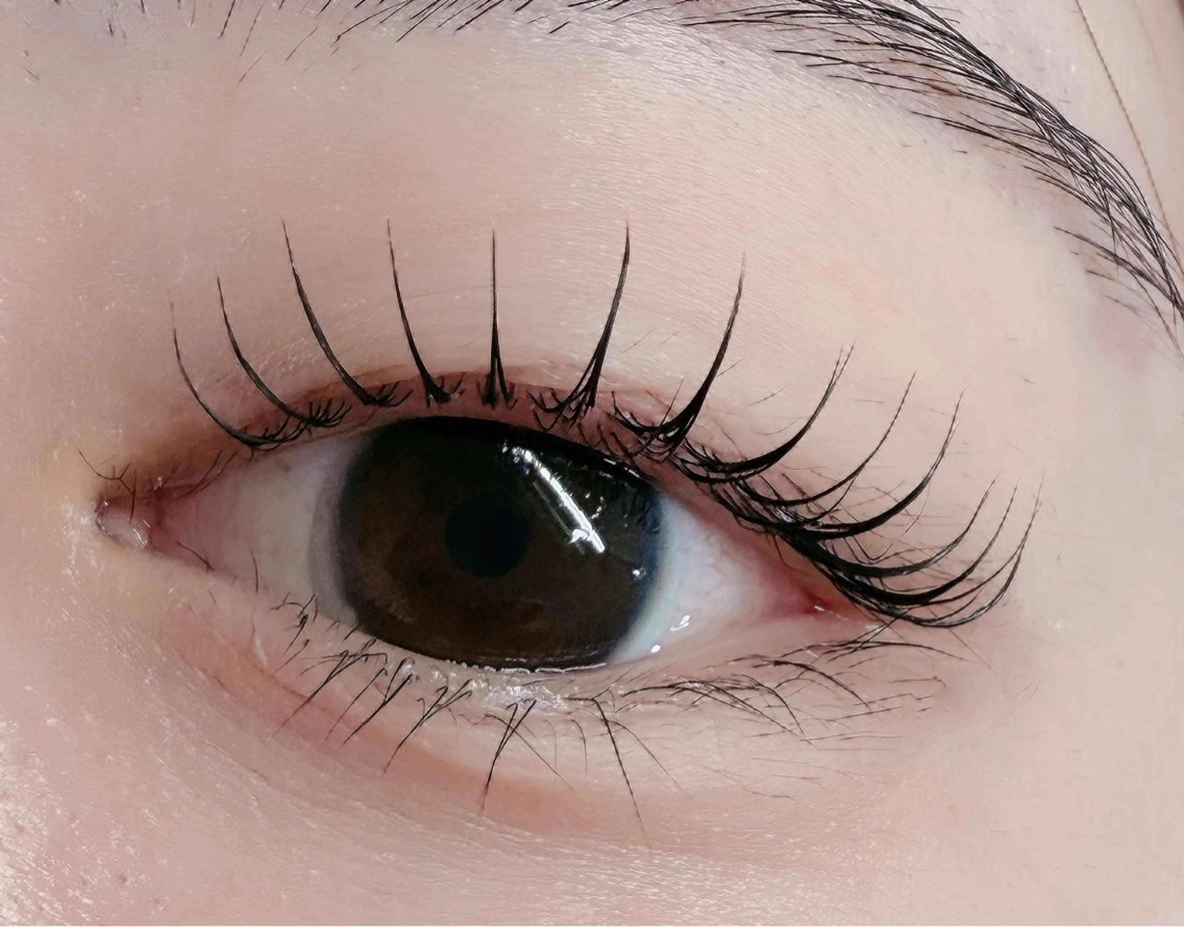 マツエク・マツパ 韓国風マツエク マツパ ルチア💞 lucia高田馬場のマツエク・マツパデザイン