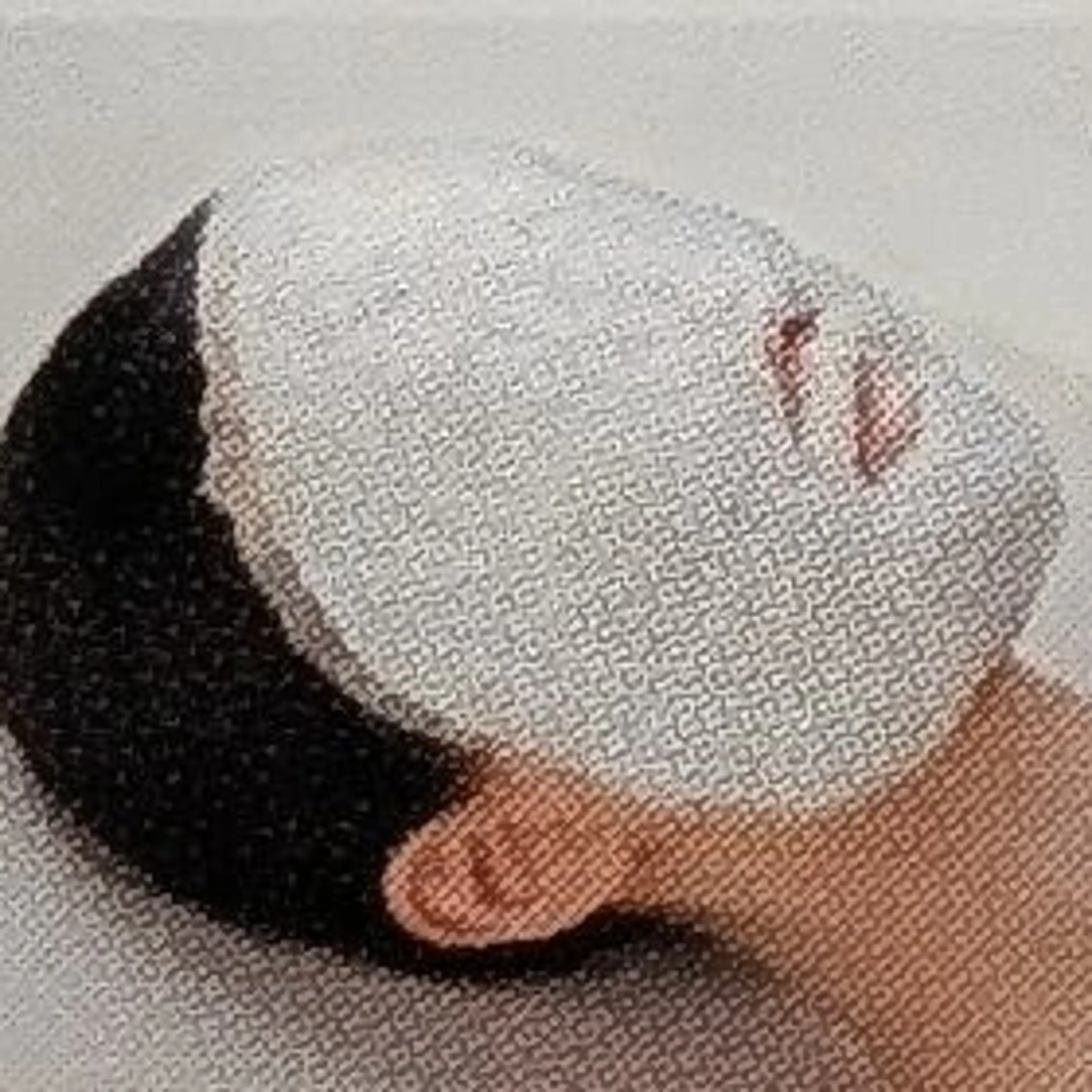 エステ リラク ポーラ・ザ・ビューティ　　番町店所属・POLA 鎌田 ひかるのその他イメージ