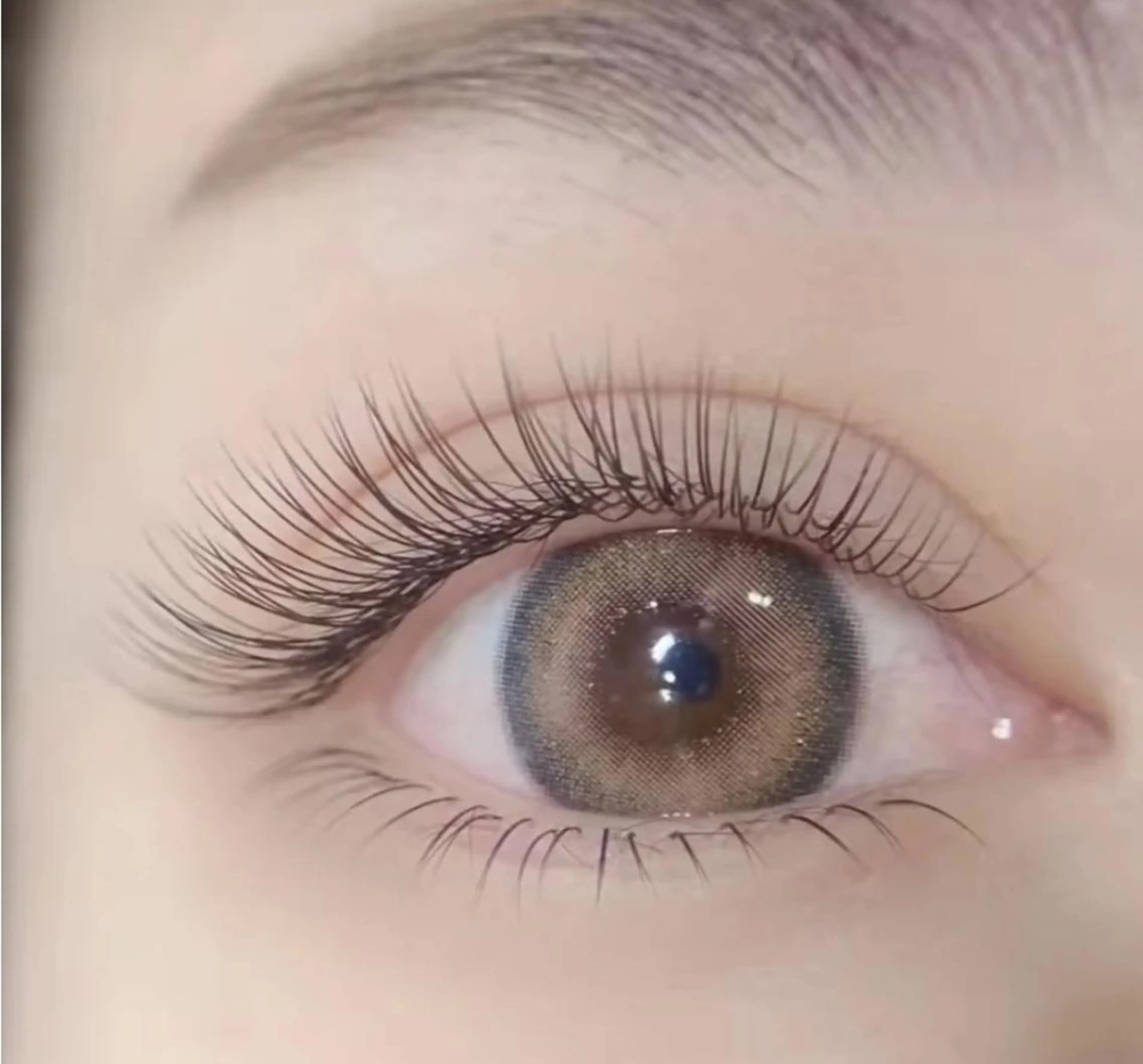 マツエク・マツパ マツエク トヨダ 池袋のマツエク・マツパデザイン