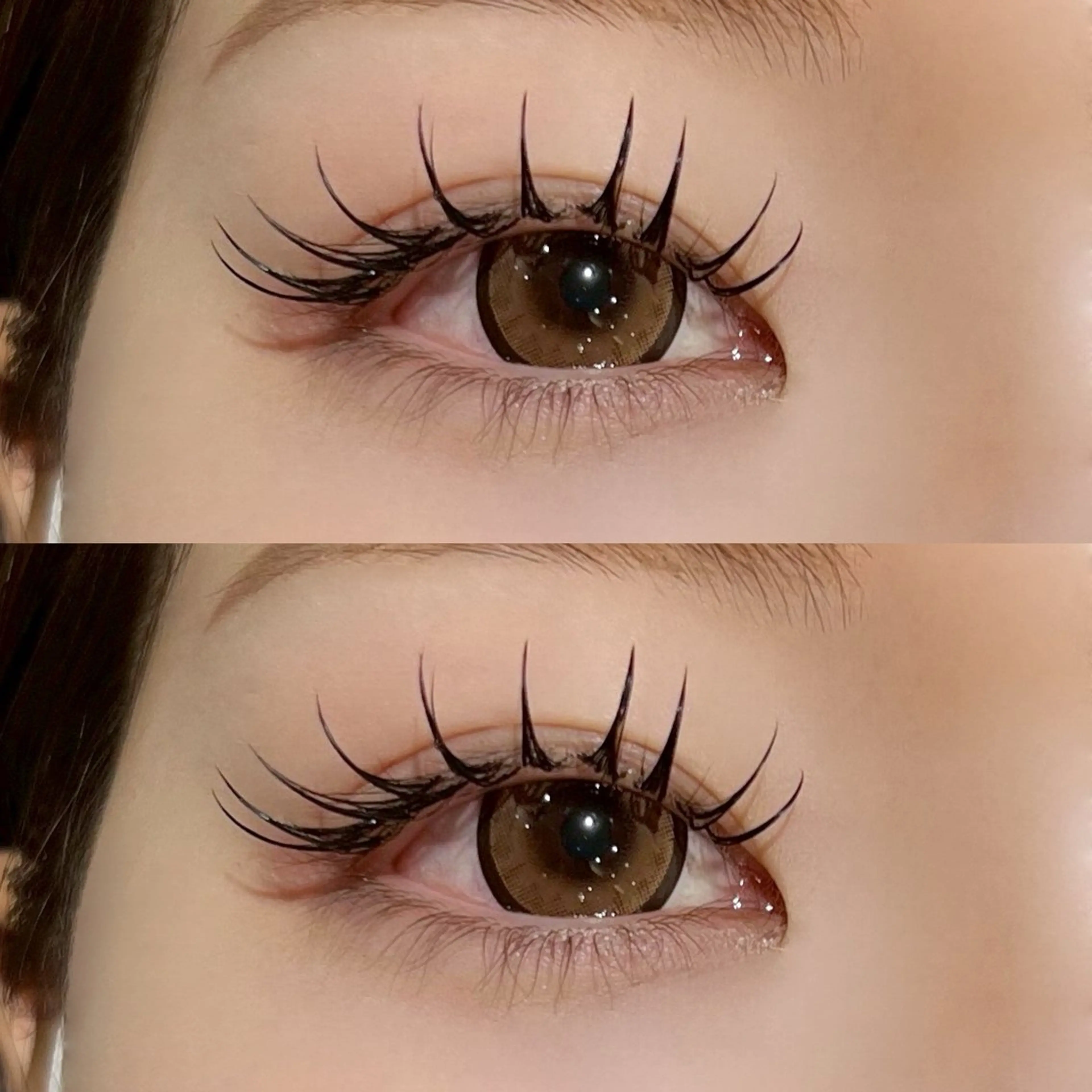 マツエク・マツパ マツエク 🐾ROAR🐾 HAZUKIのマツエク・マツパデザイン