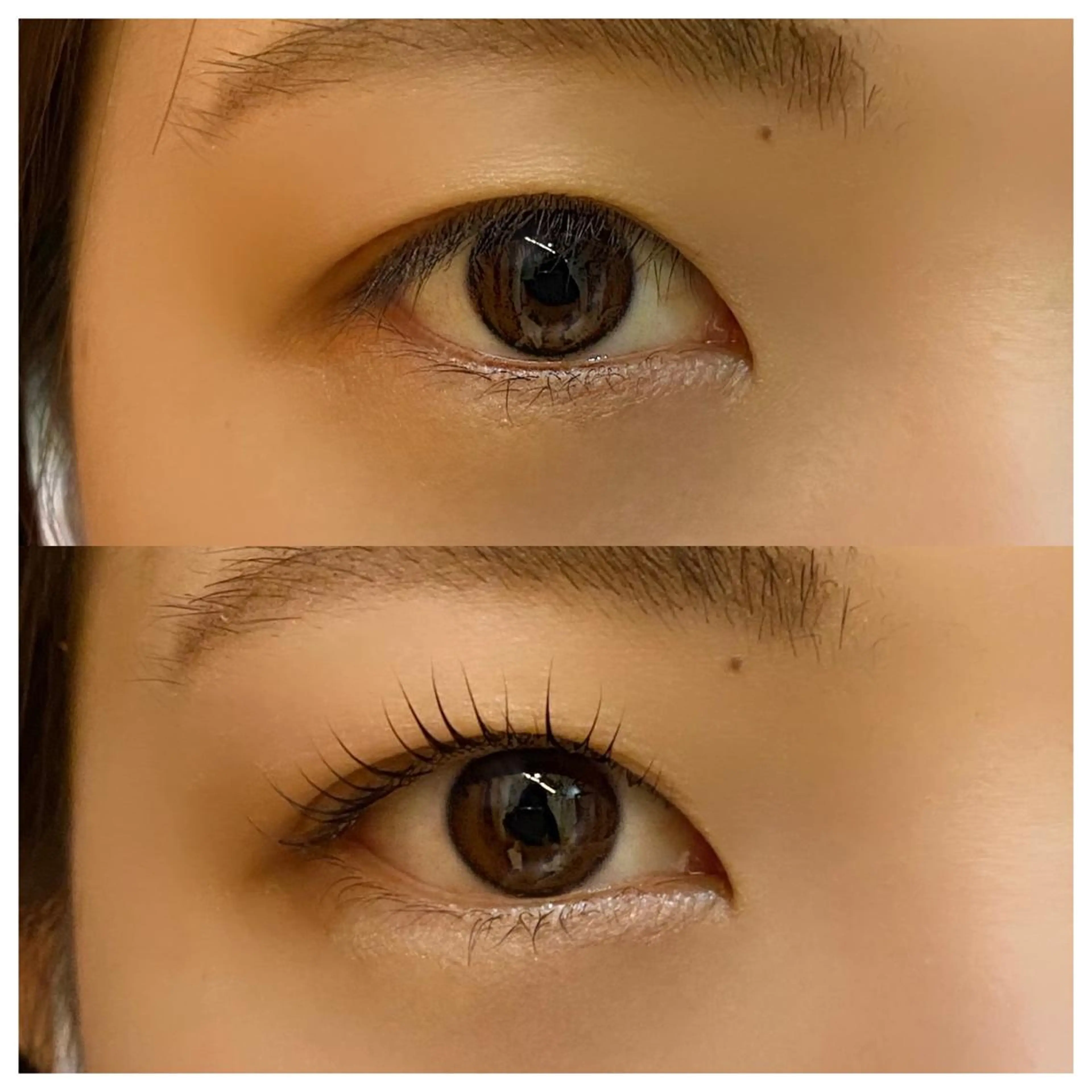 マツエク・マツパ MAQUM Rinoのマツエク・マツパデザイン