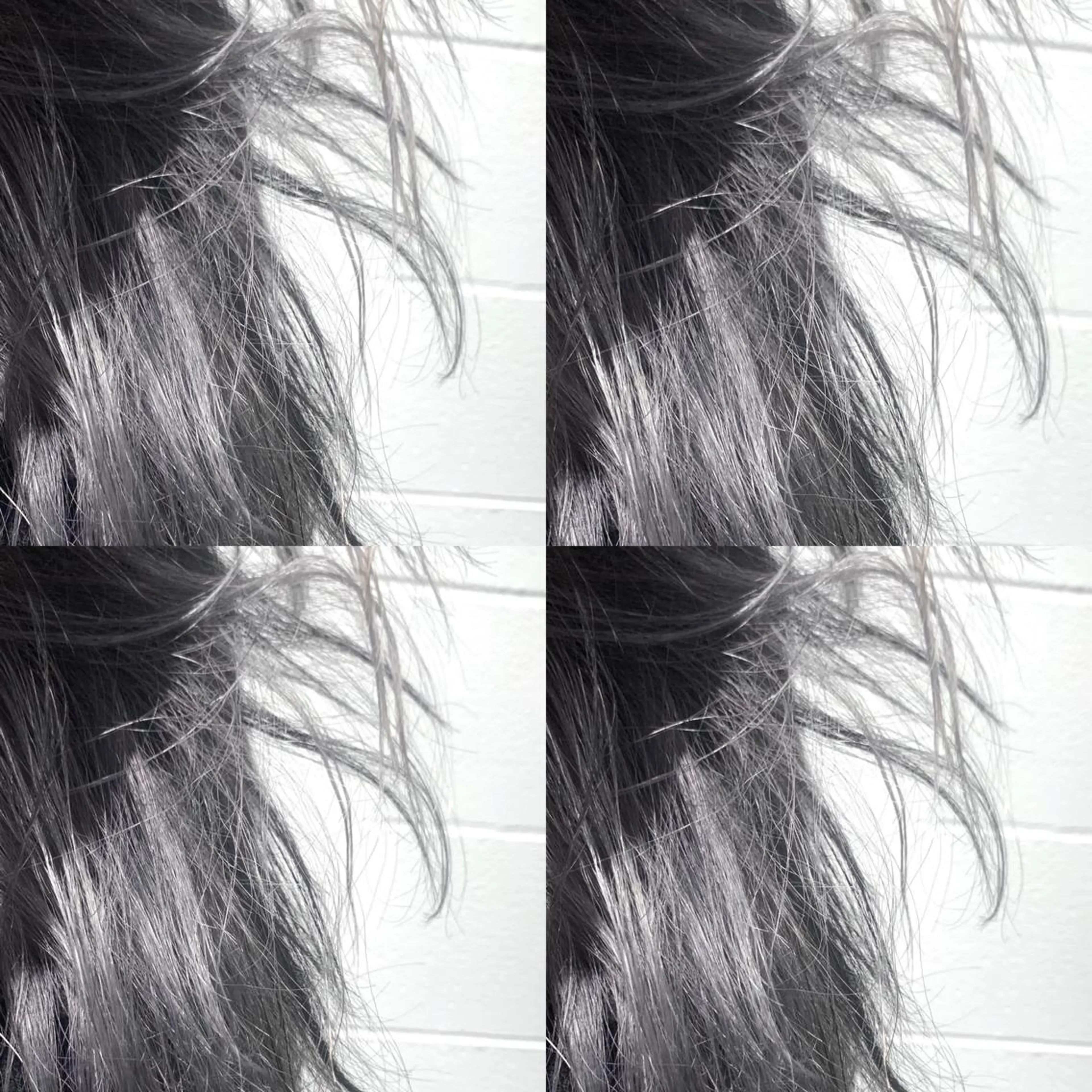 セミロング HARU//原宿🤍 リピート率NO.1のヘアスタイル