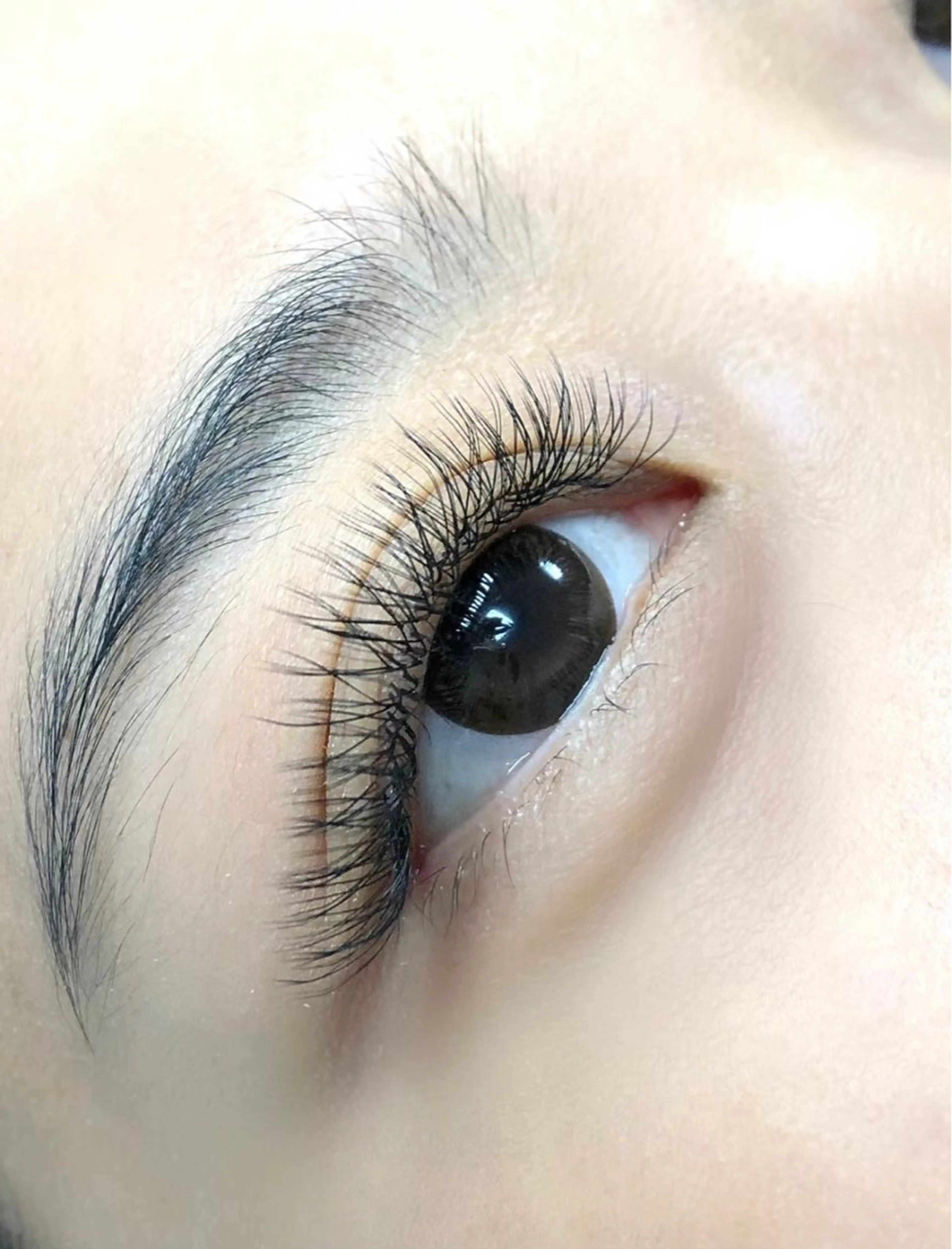 5Dフラットラッシュマツエク700本ボリューム系好きな方におすすめ🎵、Cカール、長さ11mm.12mm.13mm限定の写真