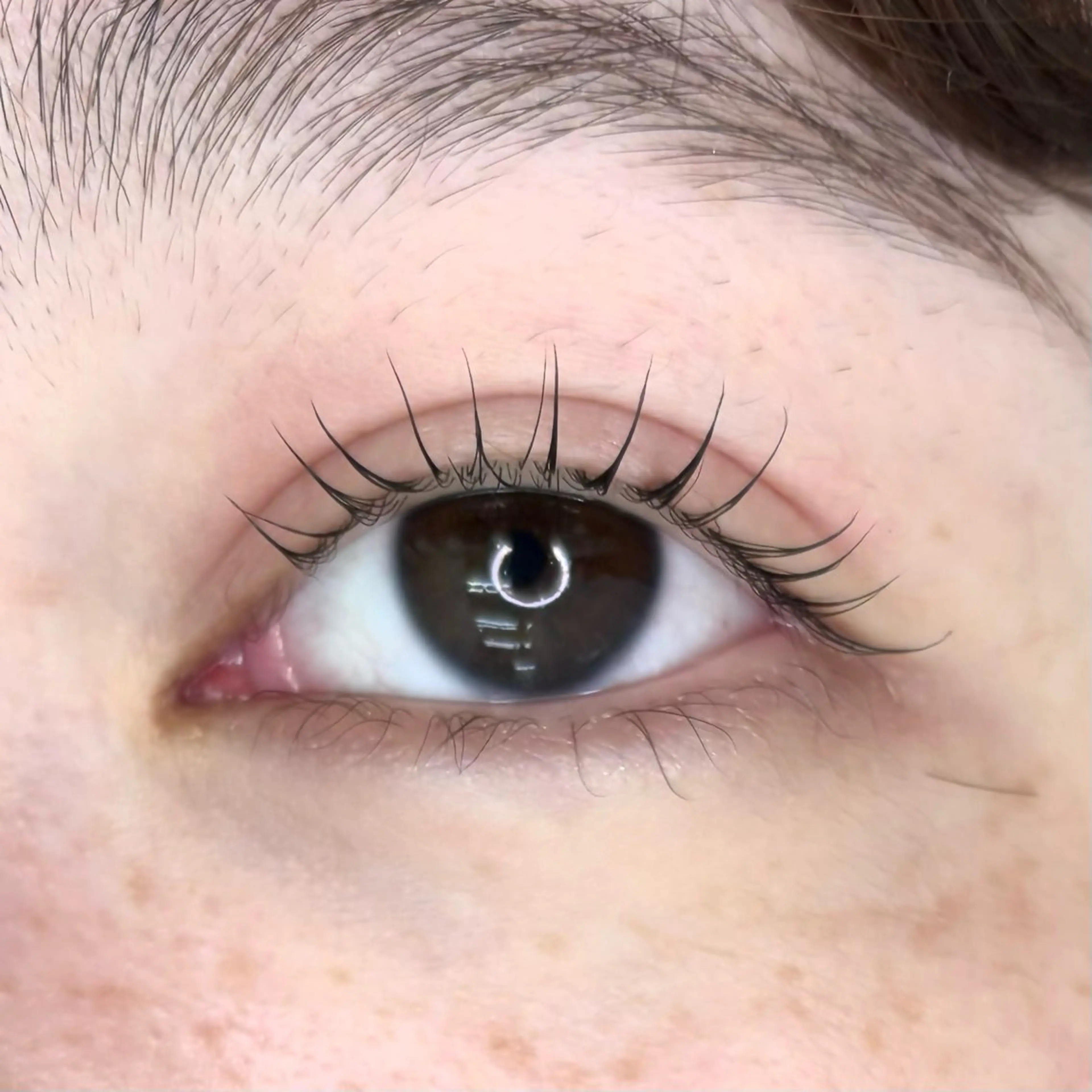 マツエク・マツパ IVY-NUE HITOMIのマツエク・マツパデザイン