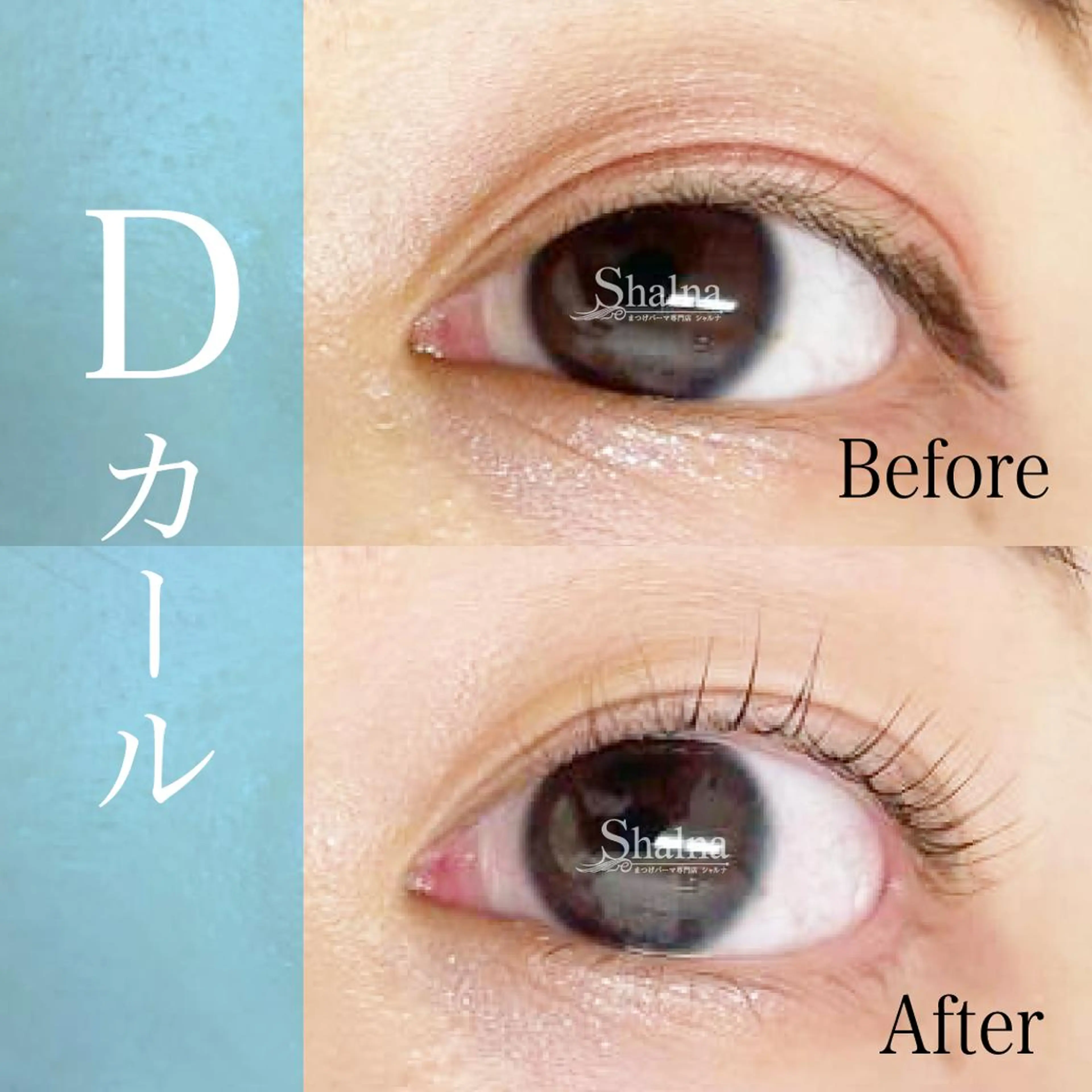 マツエク・マツパ Dカール まつげパーマ まつげパーマ専門店 シャルナ　新宿店のマツエク・マツパデザイン