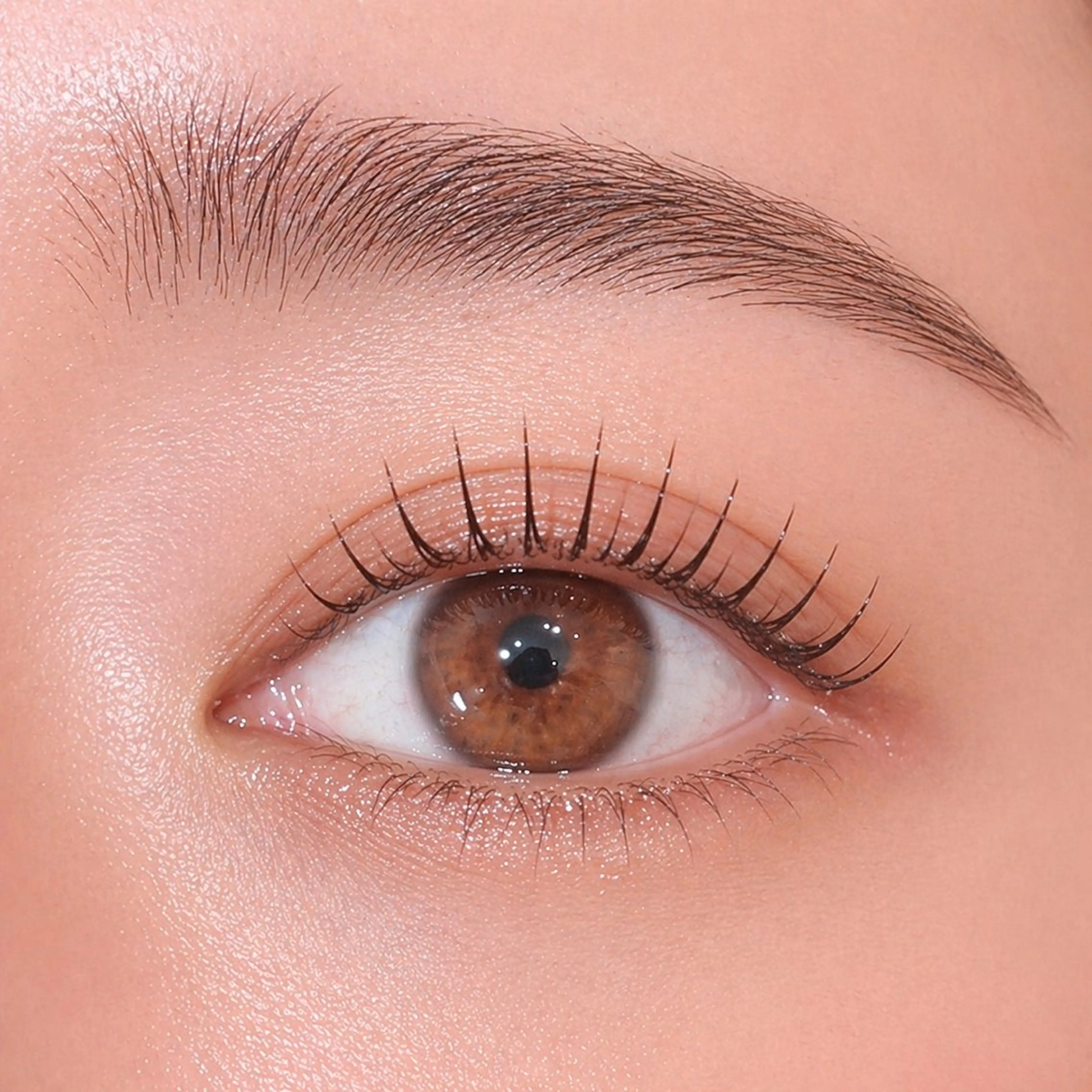 マツエク・マツパ マツパ Luxe白楽🌹店長 Seikeのマツエク・マツパデザイン