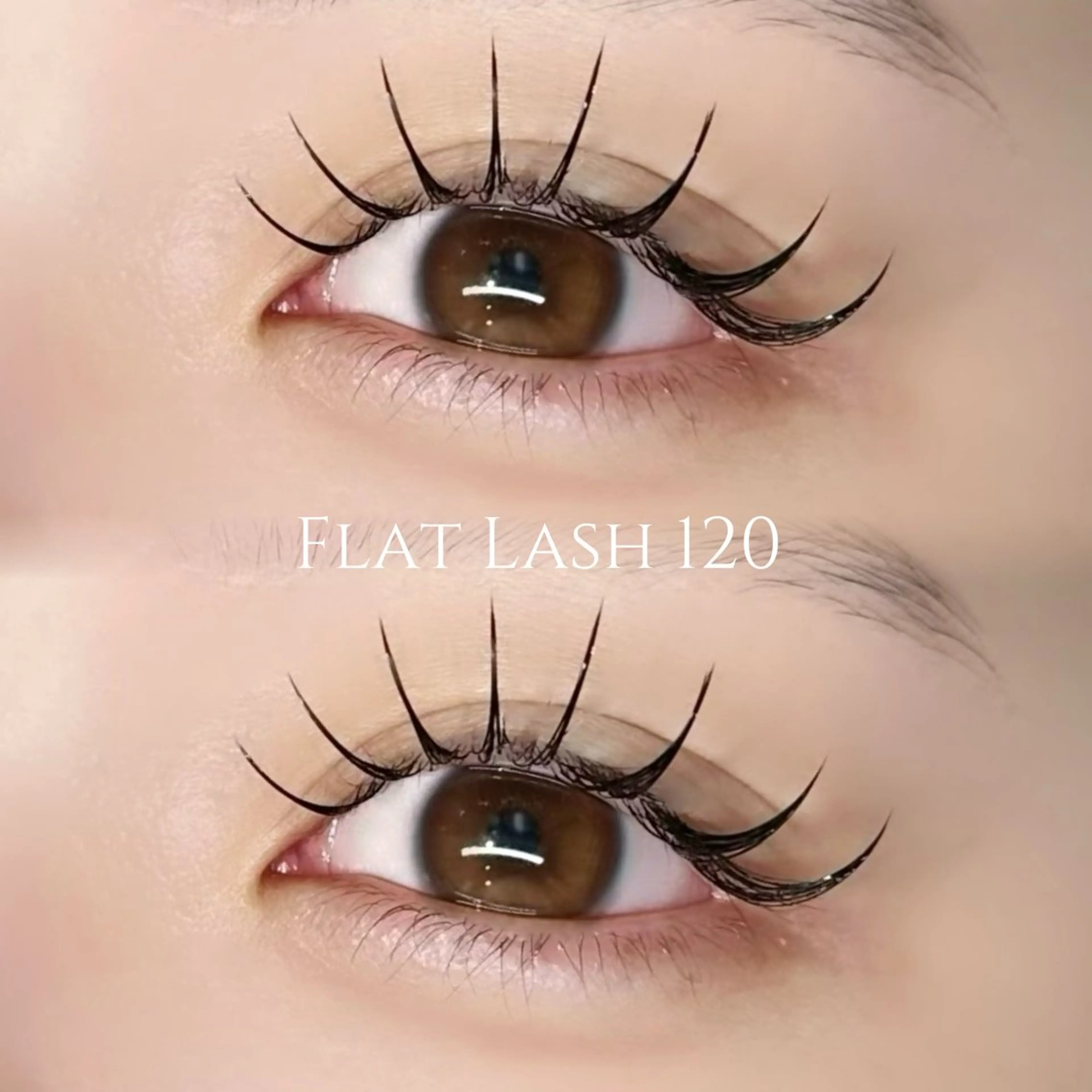 マツエク・マツパ マツエク EYELA熊本 YUIのマツエク・マツパデザイン