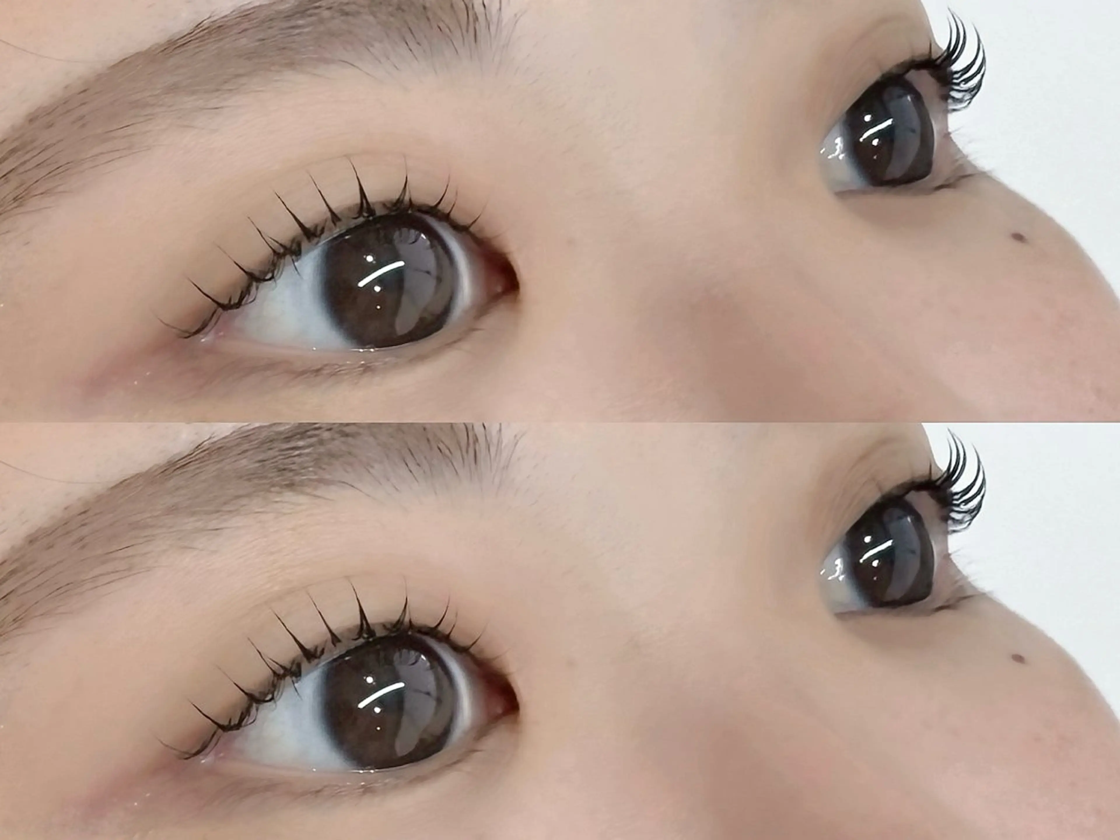 マツエク・マツパ マツパ zina 船橋北口 /sayaka🩵ᩚのマツエク・マツパデザイン