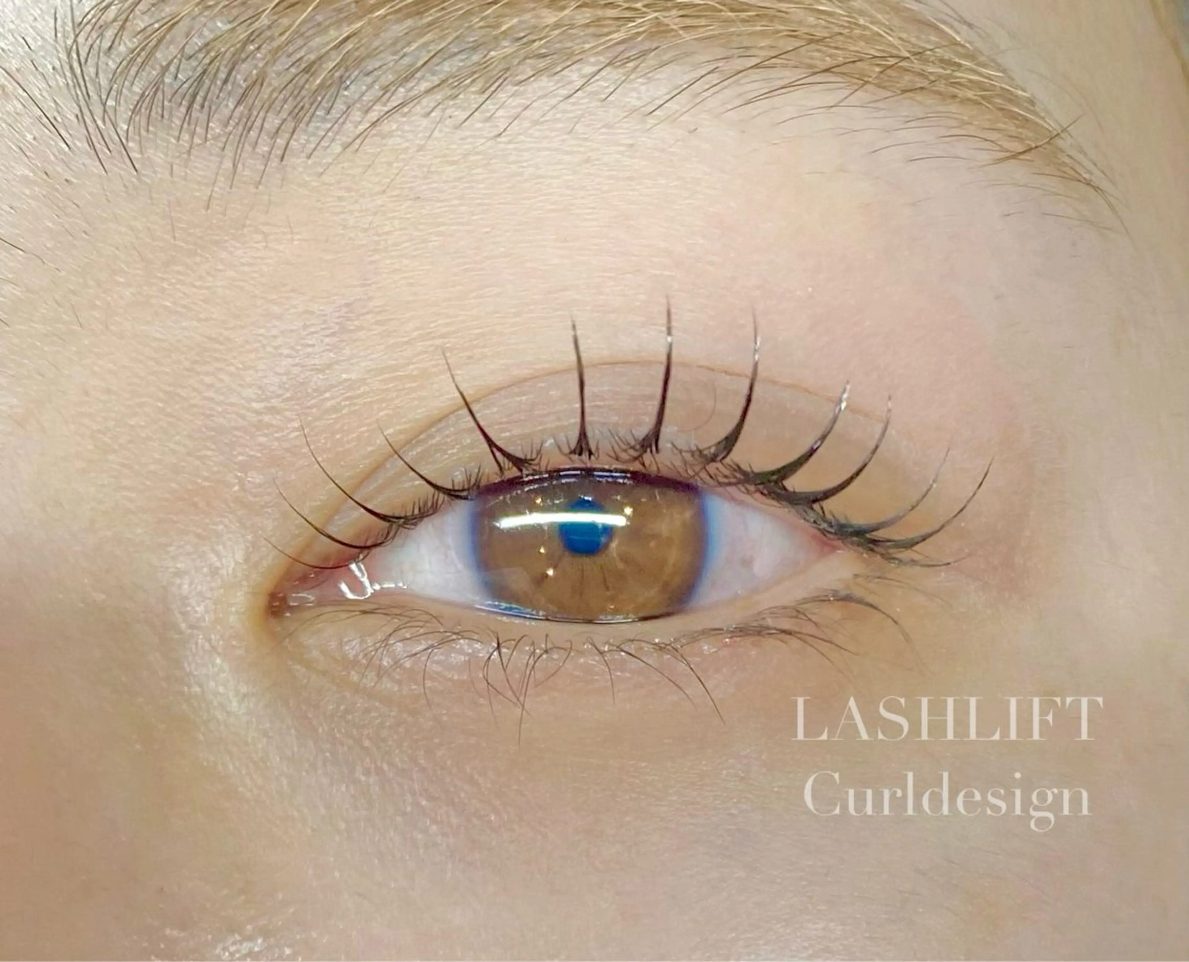 平日限定✨まつげパーマ✨の写真
