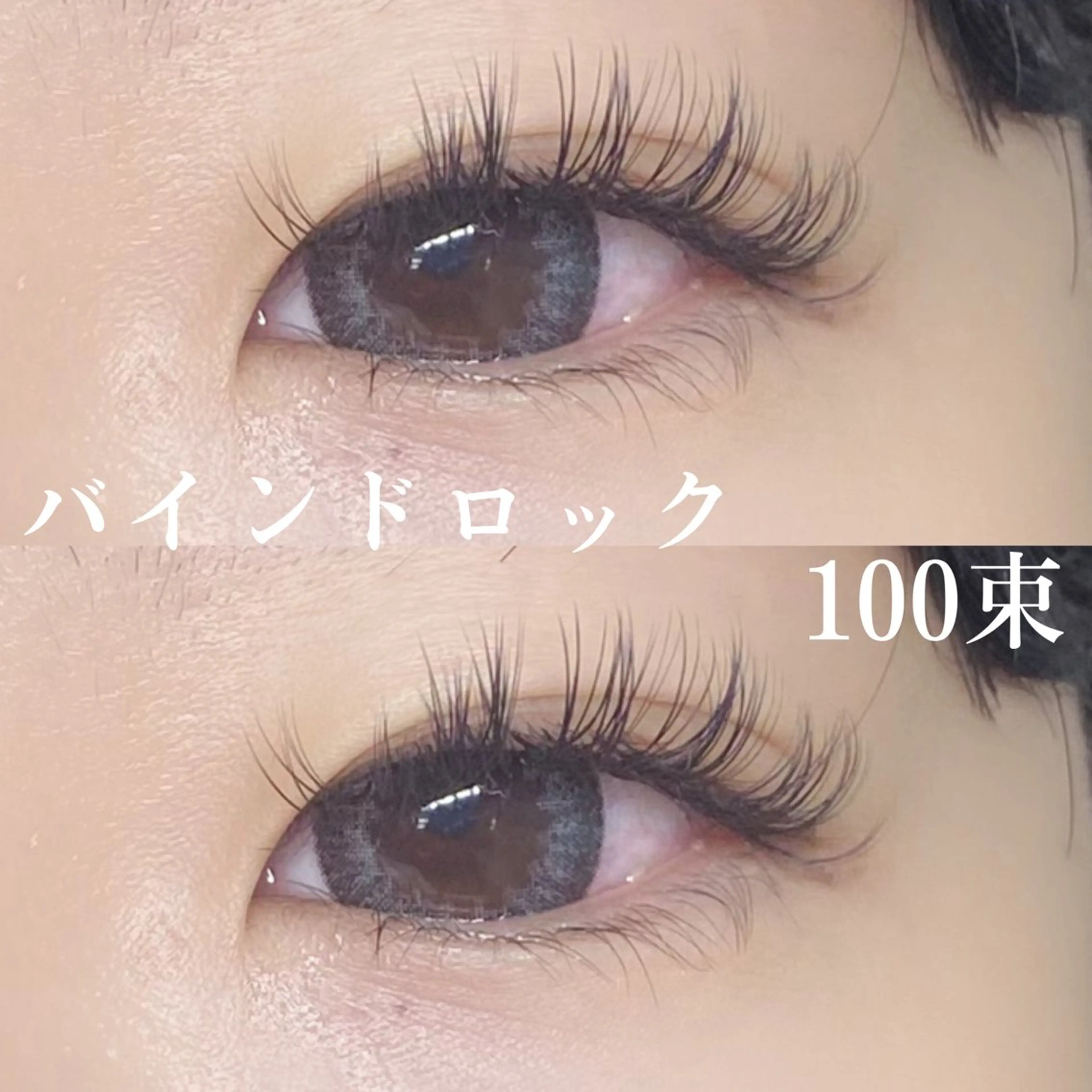 🐶〖バインドロック〗(100束)の写真