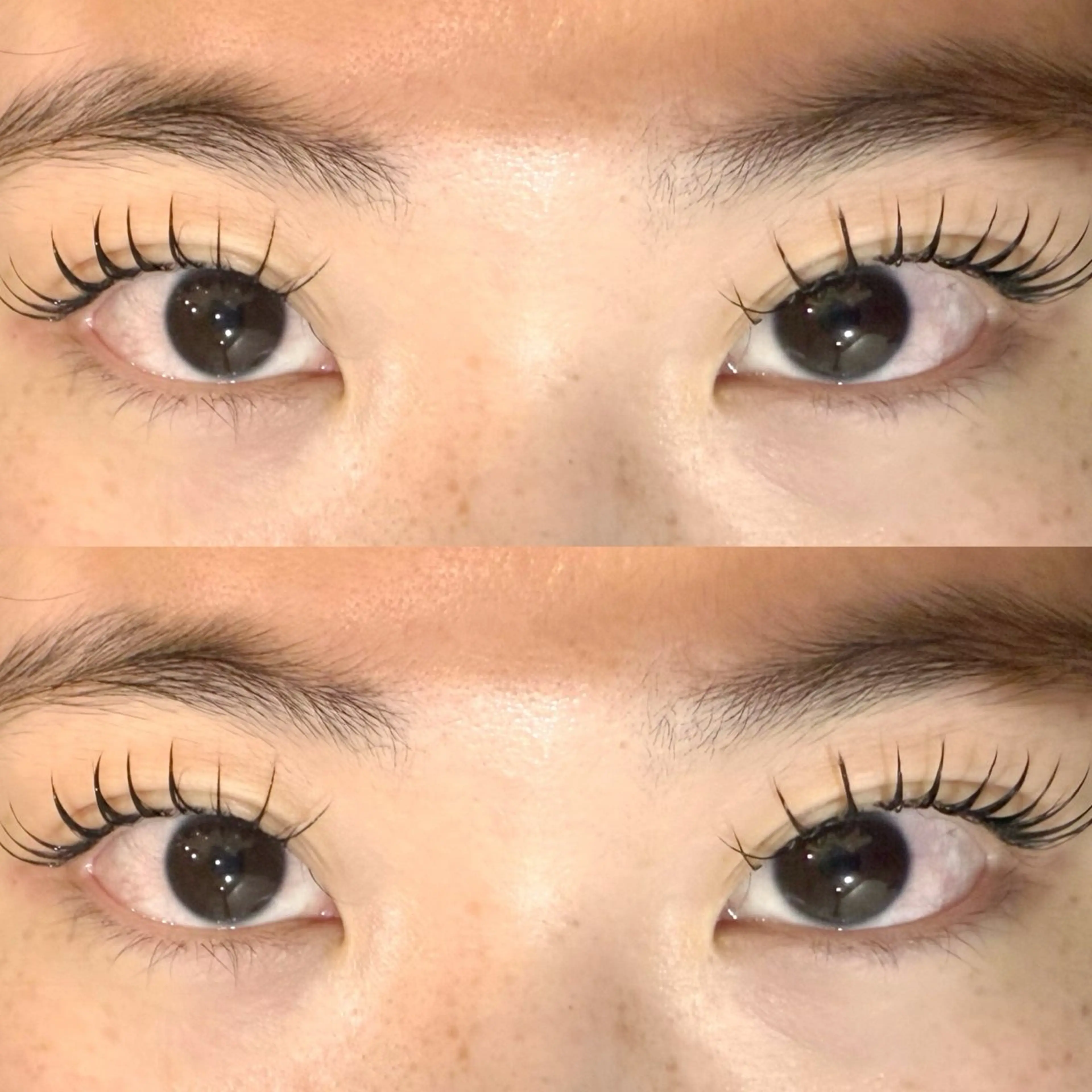 人気No.2💜【カシミヤフラットラッシュ】100本、美容液コーティング付き👀♪+1100円で20本ずつ追加できます♪の写真