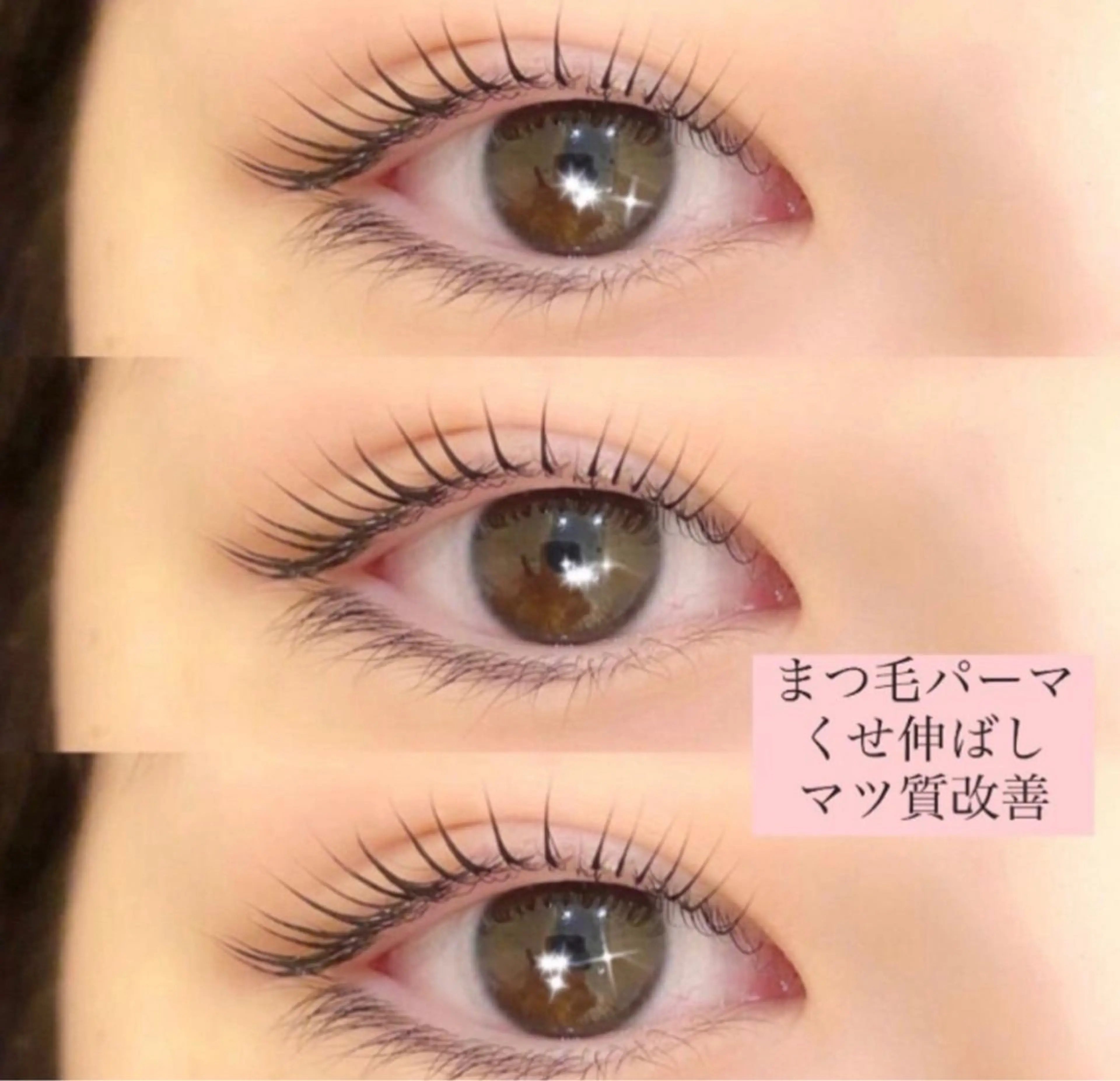 【ご新規様限定クーポン】まつ毛パーマ🦋(コーティング付き)の写真