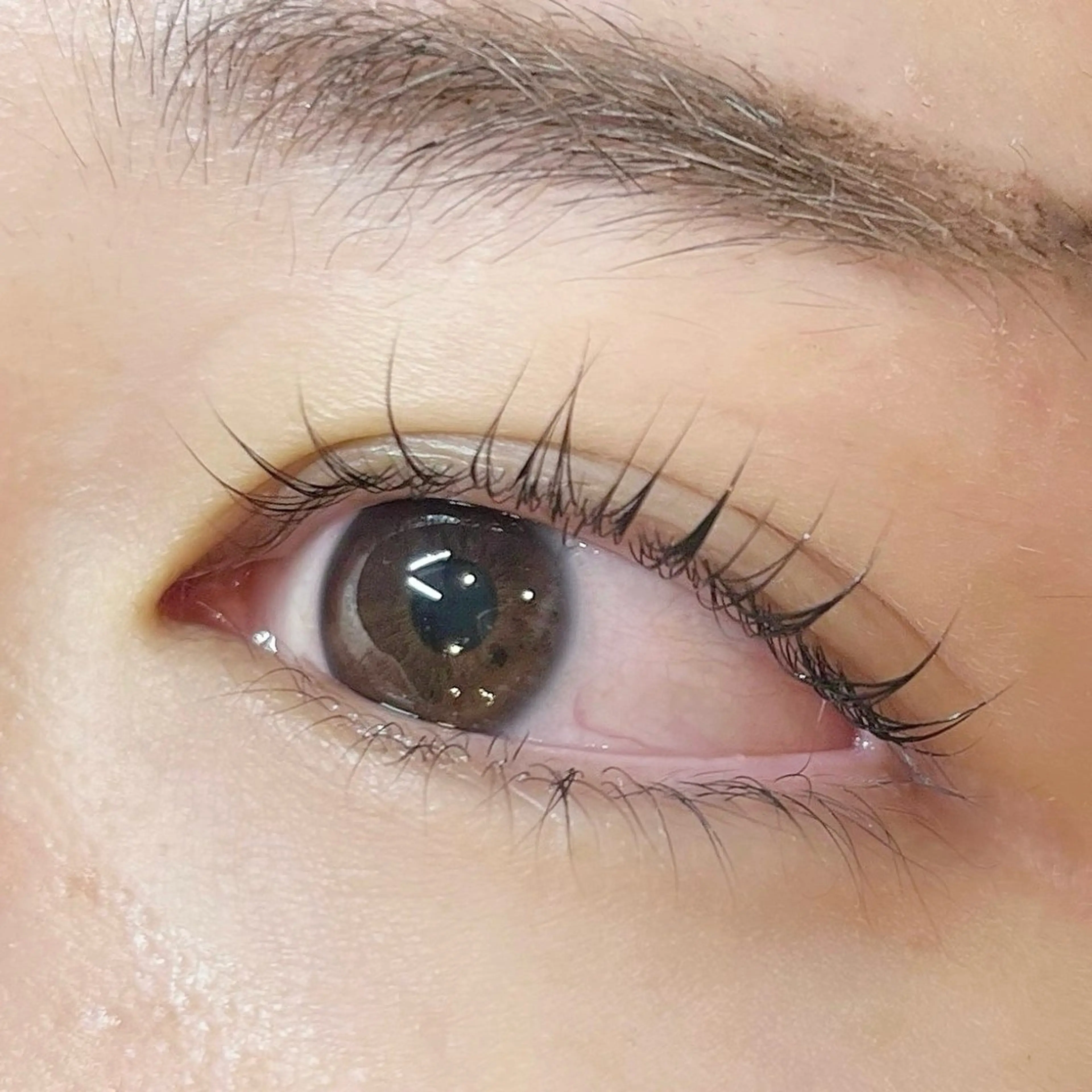 マツエク・マツパ 一重×まつ毛パーマ マツパ Li'acil所属・吉田 瀬麗奈（産休中）のマツエク・マツパデザイン