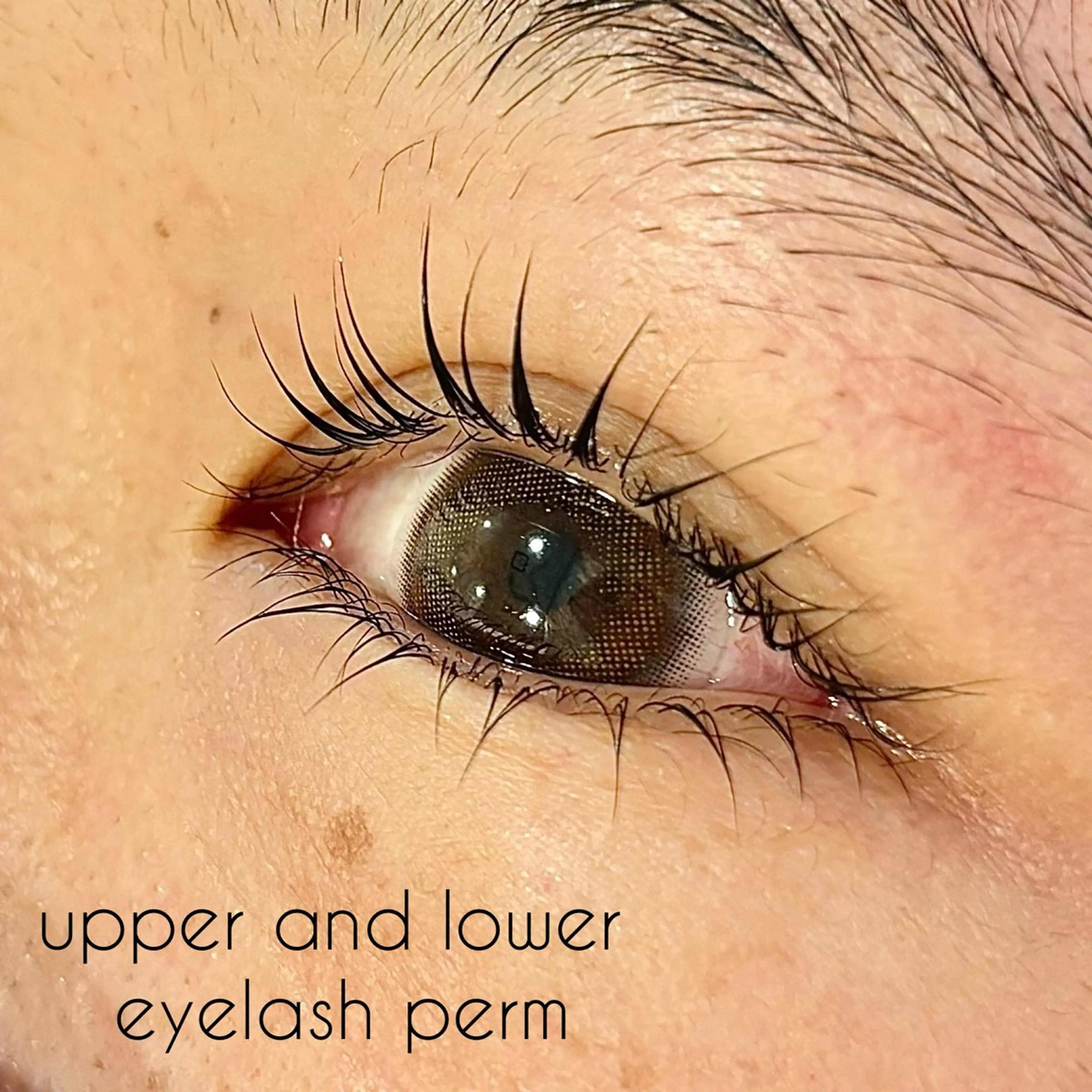 マツエク・マツパ 下まつげエクステ 一重×まつ毛パーマ ✧elpatio✧︎ 小出紗羅のマツエク・マツパデザイン