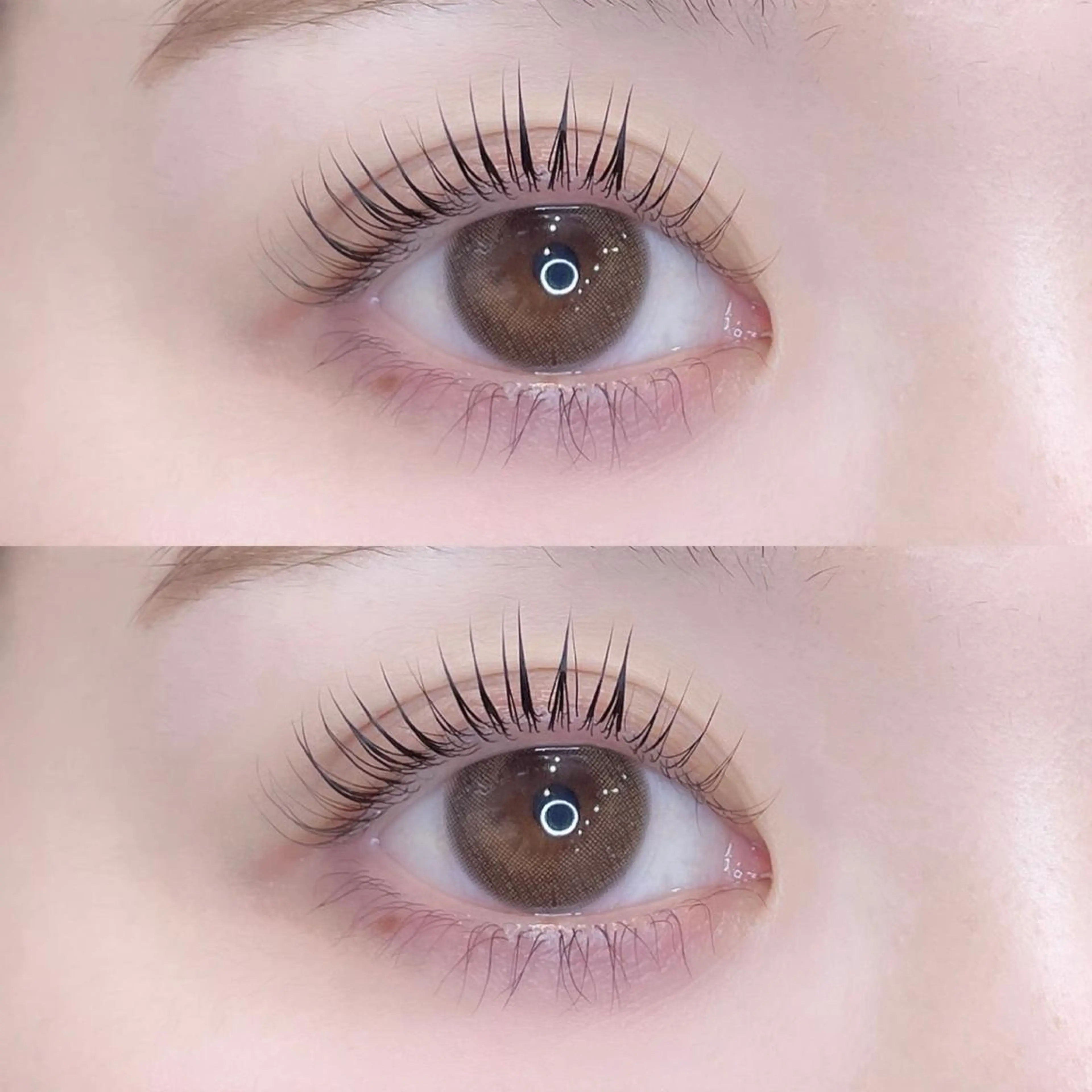 ❤️パリジェンヌ orまつ毛パーマ❤️の写真