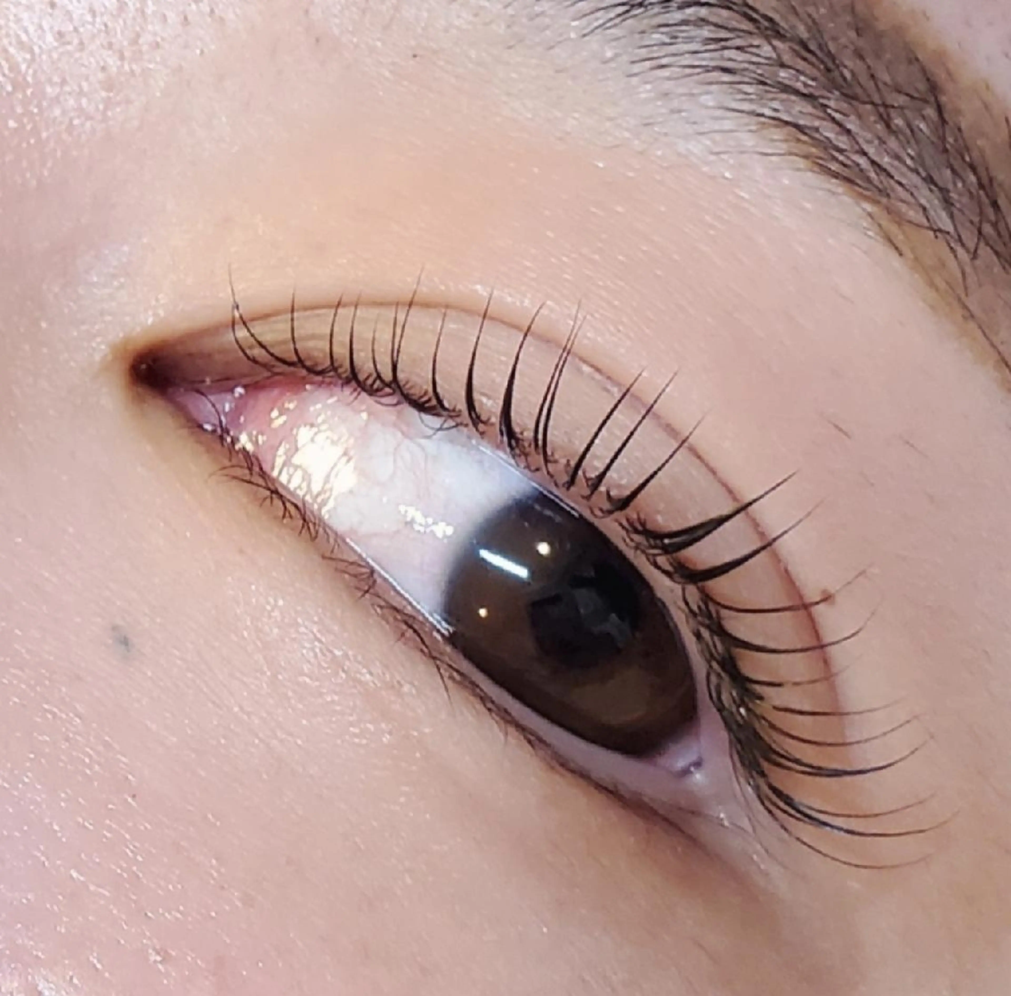 マツエク・マツパ ant_u🌷 arisaのマツエク・マツパデザイン