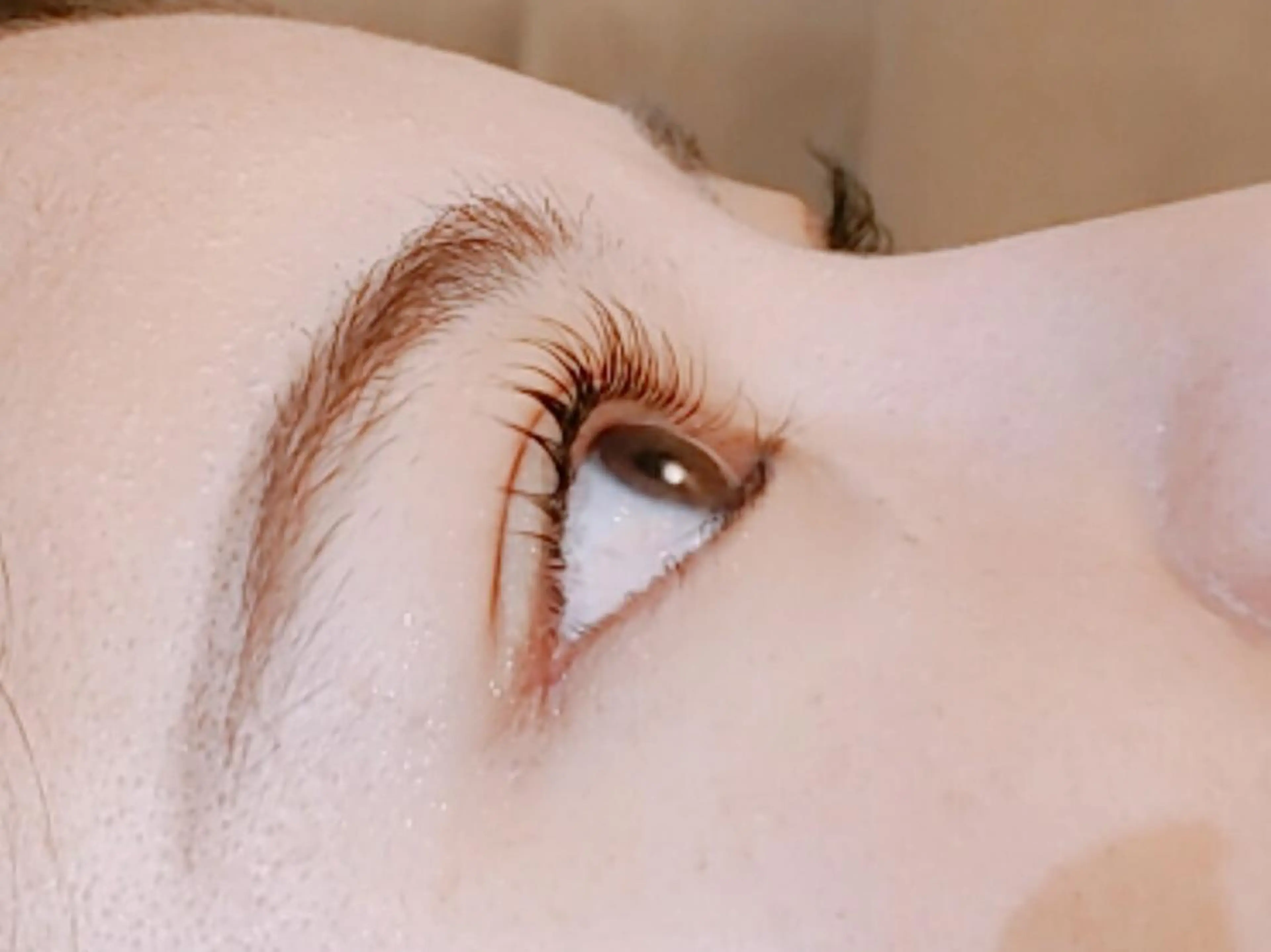 【ミニモ限定】バインドロック✨️100束の写真