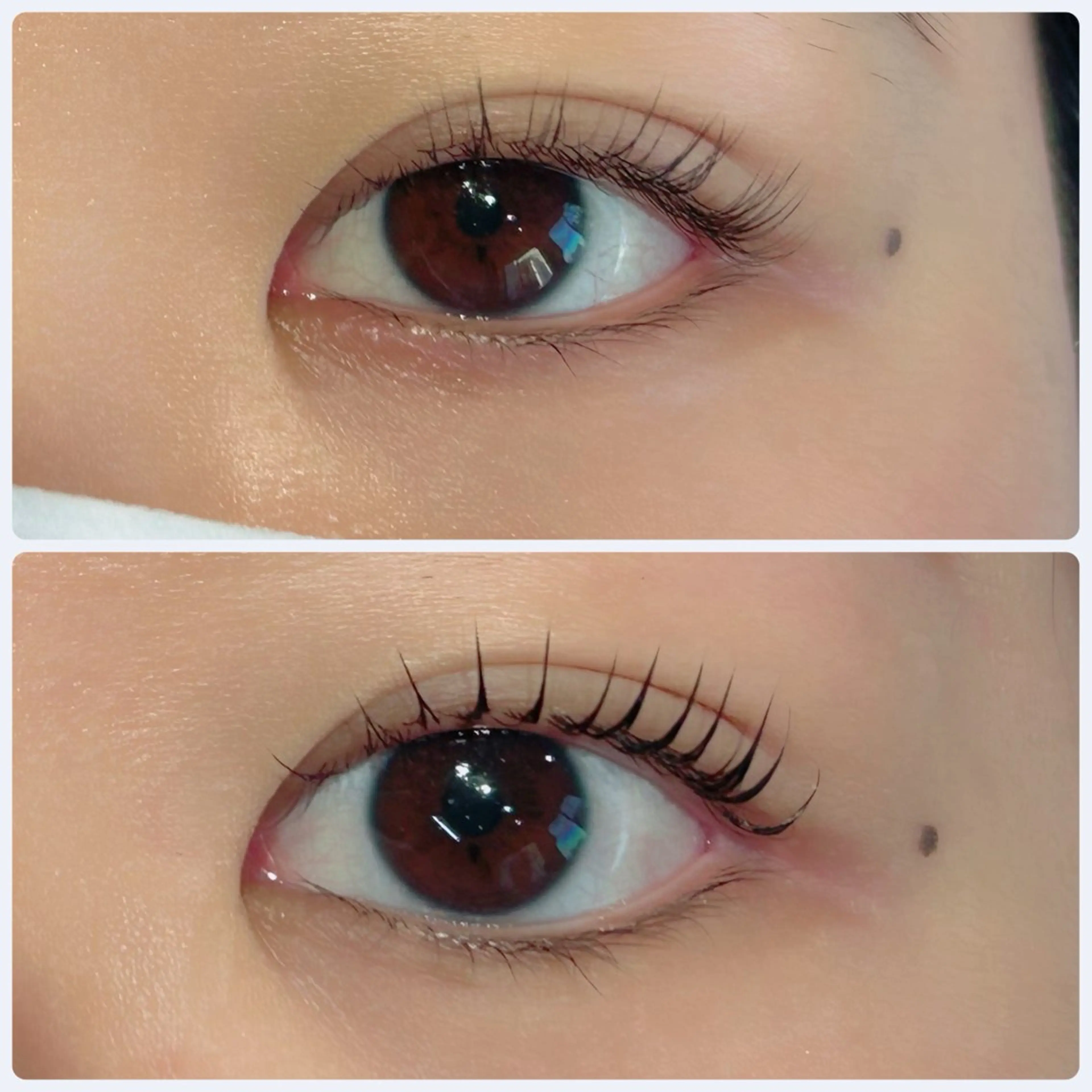 マツエク・マツパ パリジェンヌラッシュリフト まつげパーマ マツパ 【愛され眉毛作る人】 nozomiのマツエク・マツパデザイン