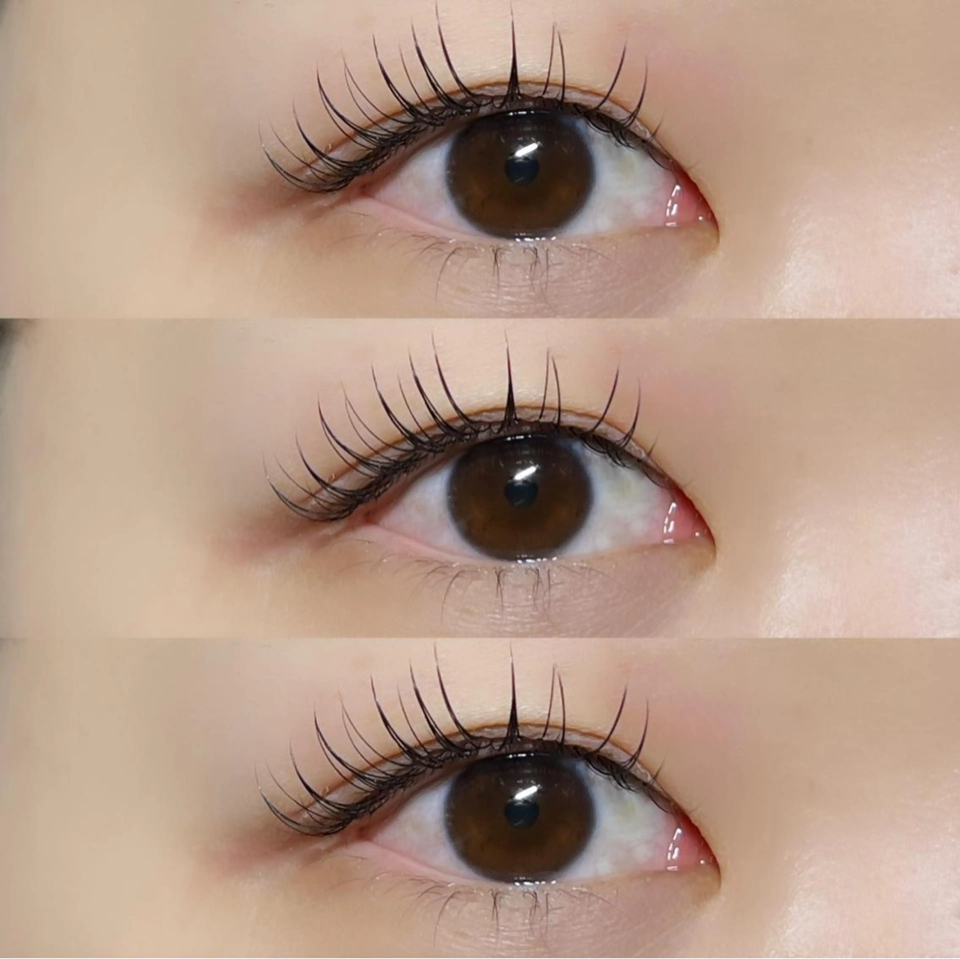 マツエク・マツパ Milobyking 🍒rihoの眉毛・アイブロウイメージ