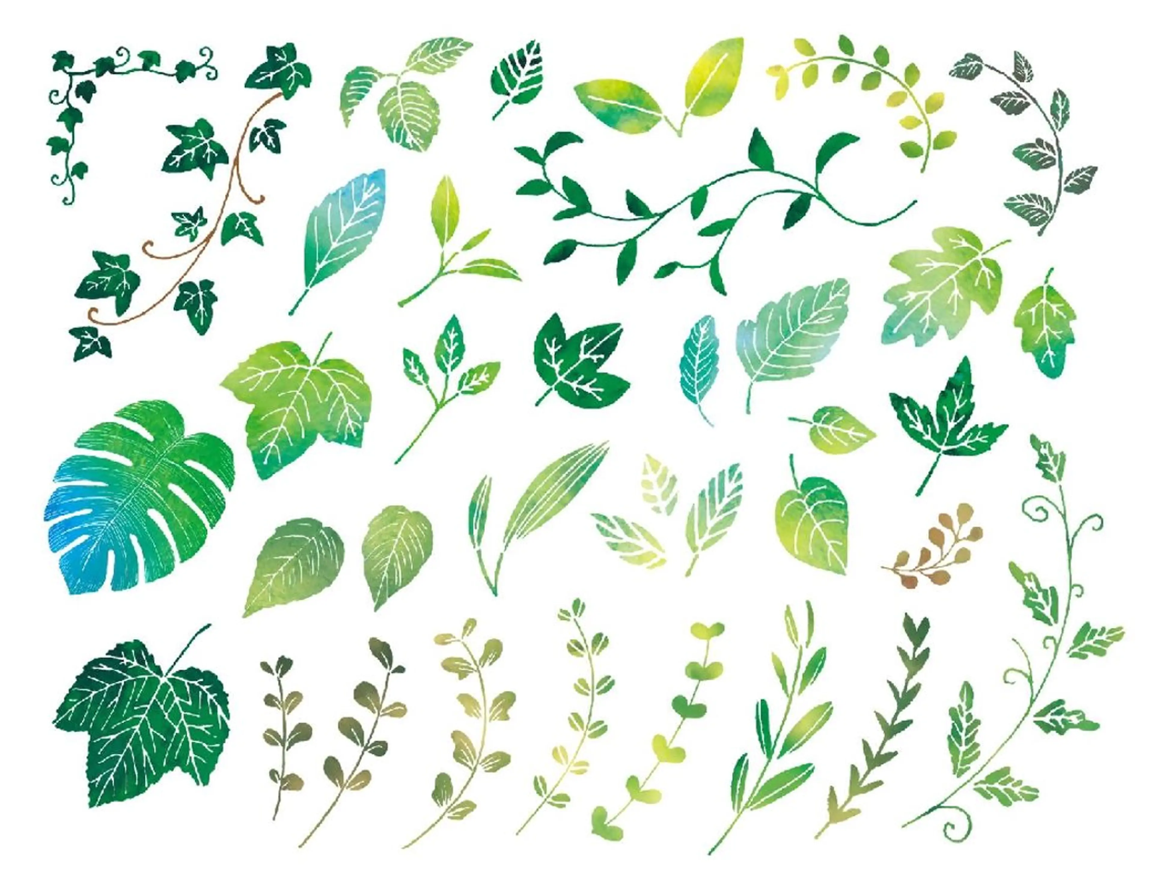 🌿ハーブピーリング TO BE HERBのエステ・リラクイメージ