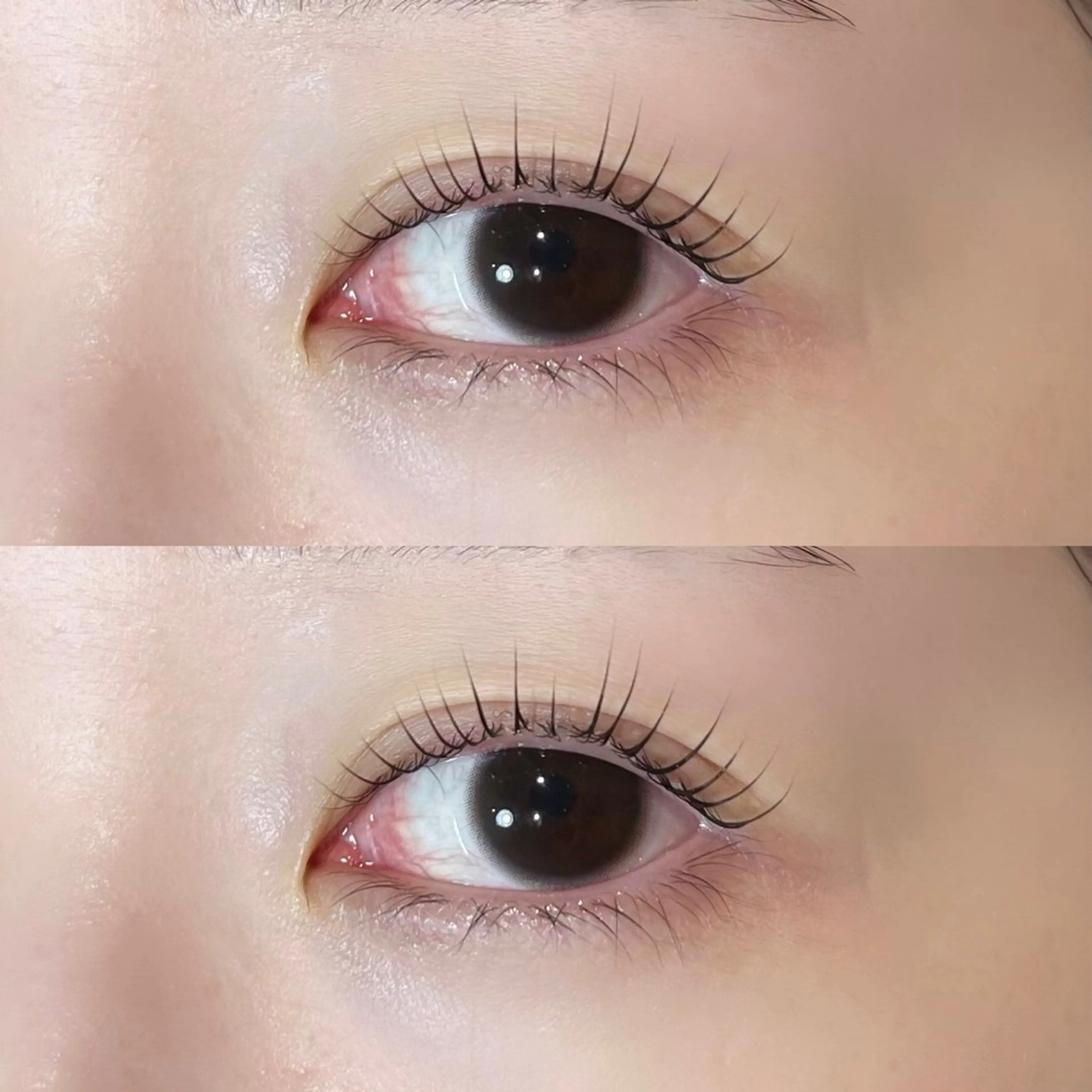 ใใใจใฏใปใใใ ๐๐๐๐๐ ๆ่ฑใฎใใใจใฏใปใใใใใถใคใณ