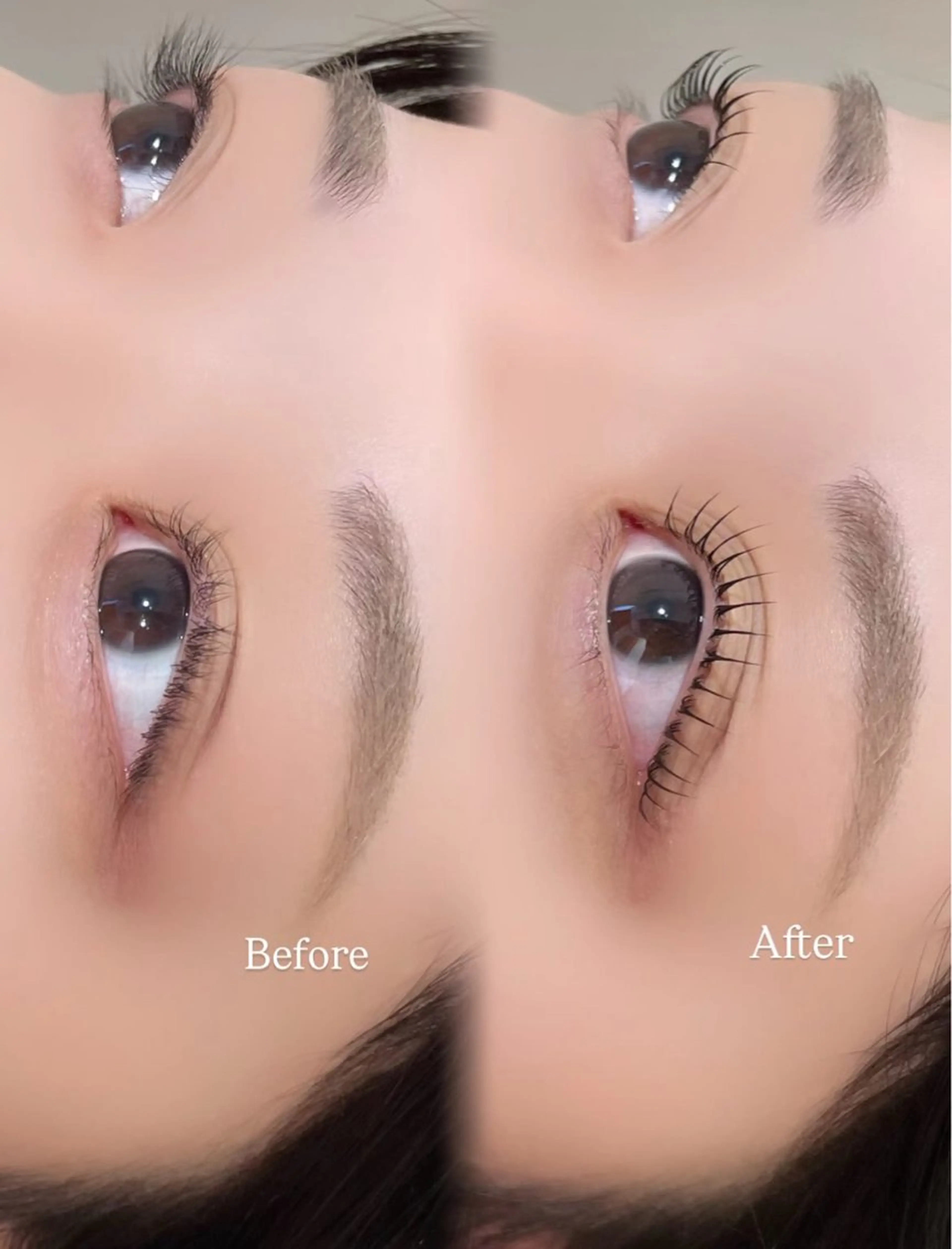 マツエク・マツパ マツパ Marina🤍名駅 /マツエク/パリエクの眉毛・アイブロウイメージ