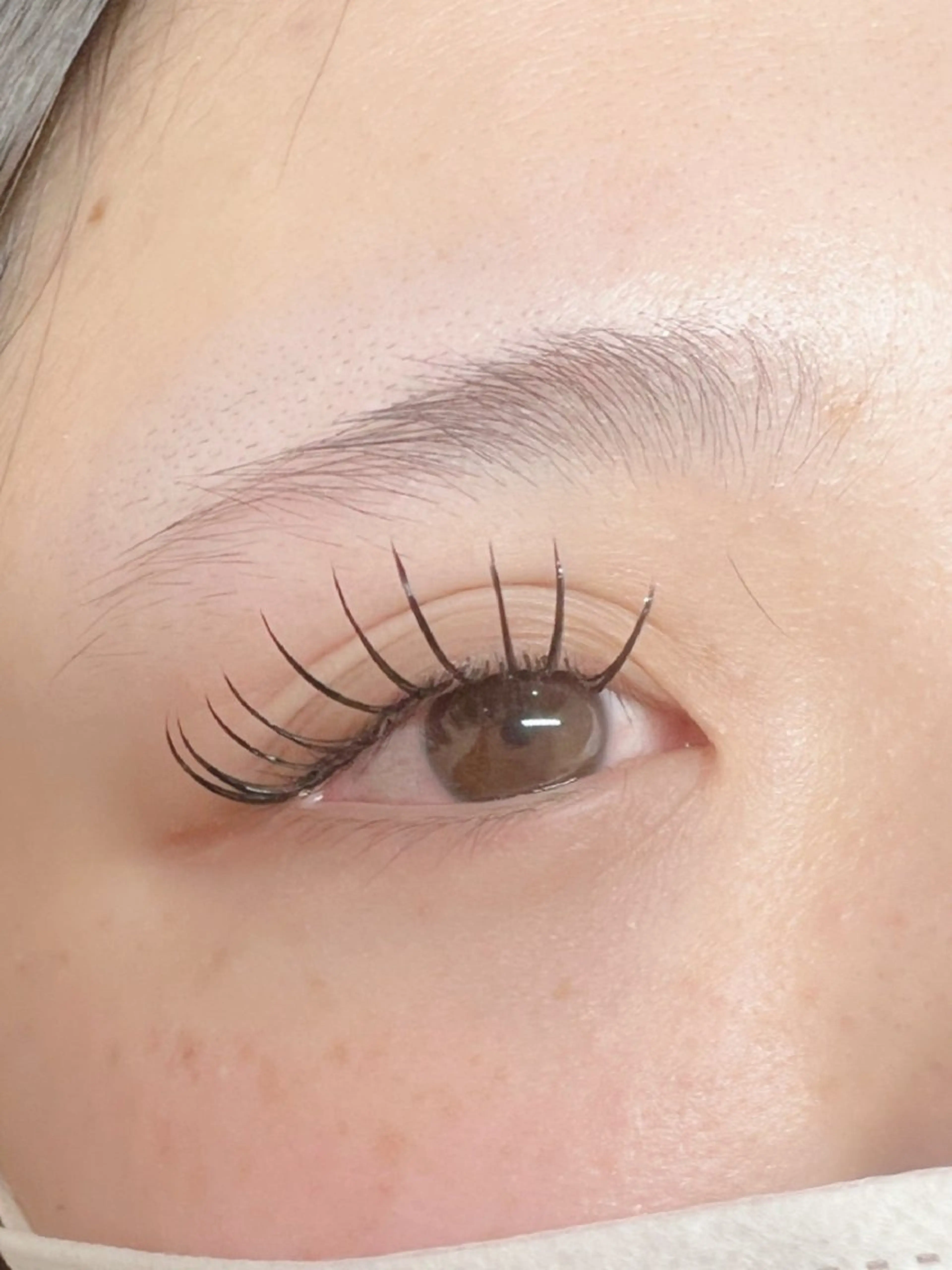 マツエク・マツパ フラットラッシュ Eyelash Hauoliの眉毛・アイブロウイメージ