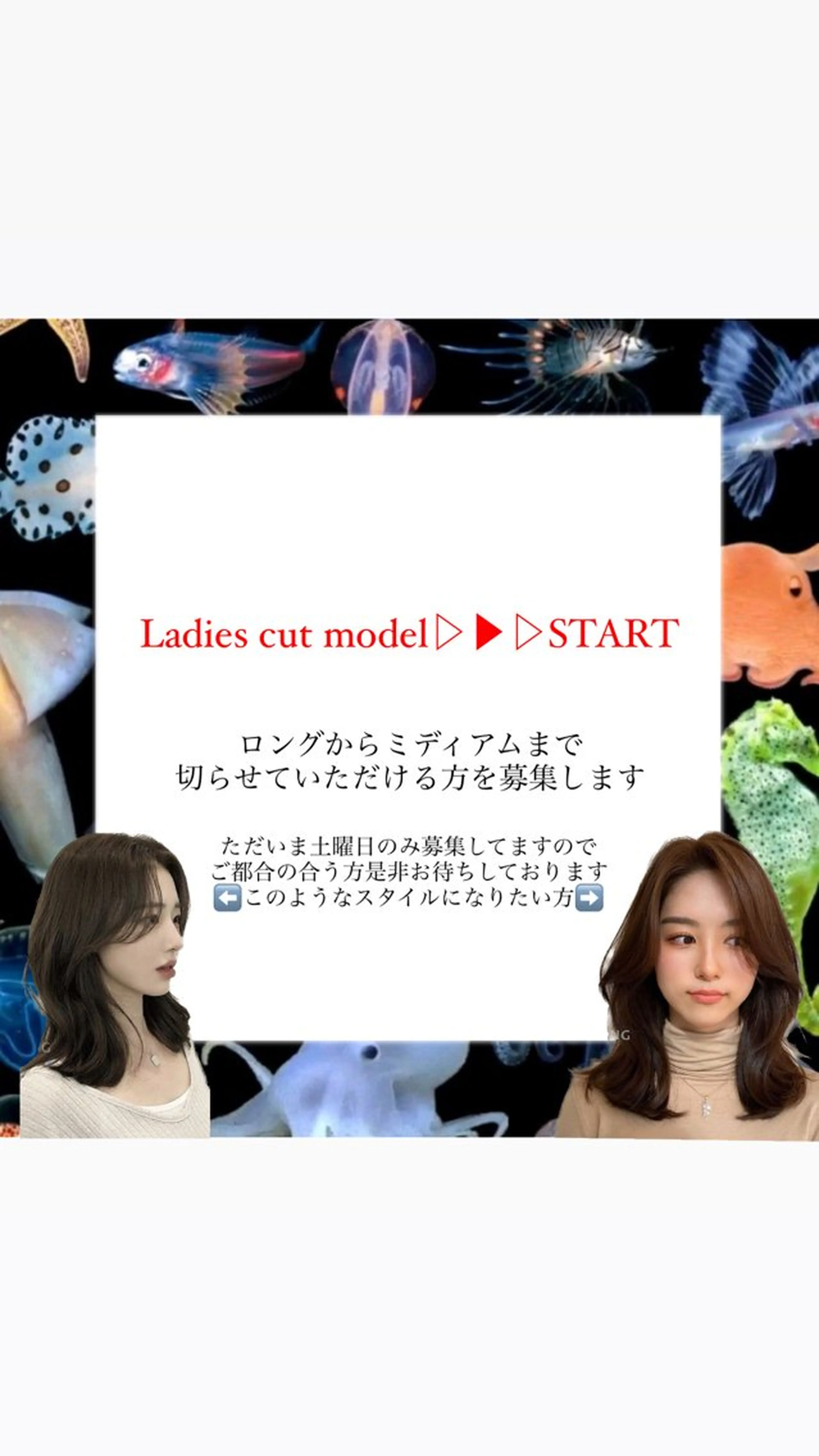 ミディアム ﾃﾞｻﾞｲﾝｶﾗｰ Mirutayaのヘアスタイル