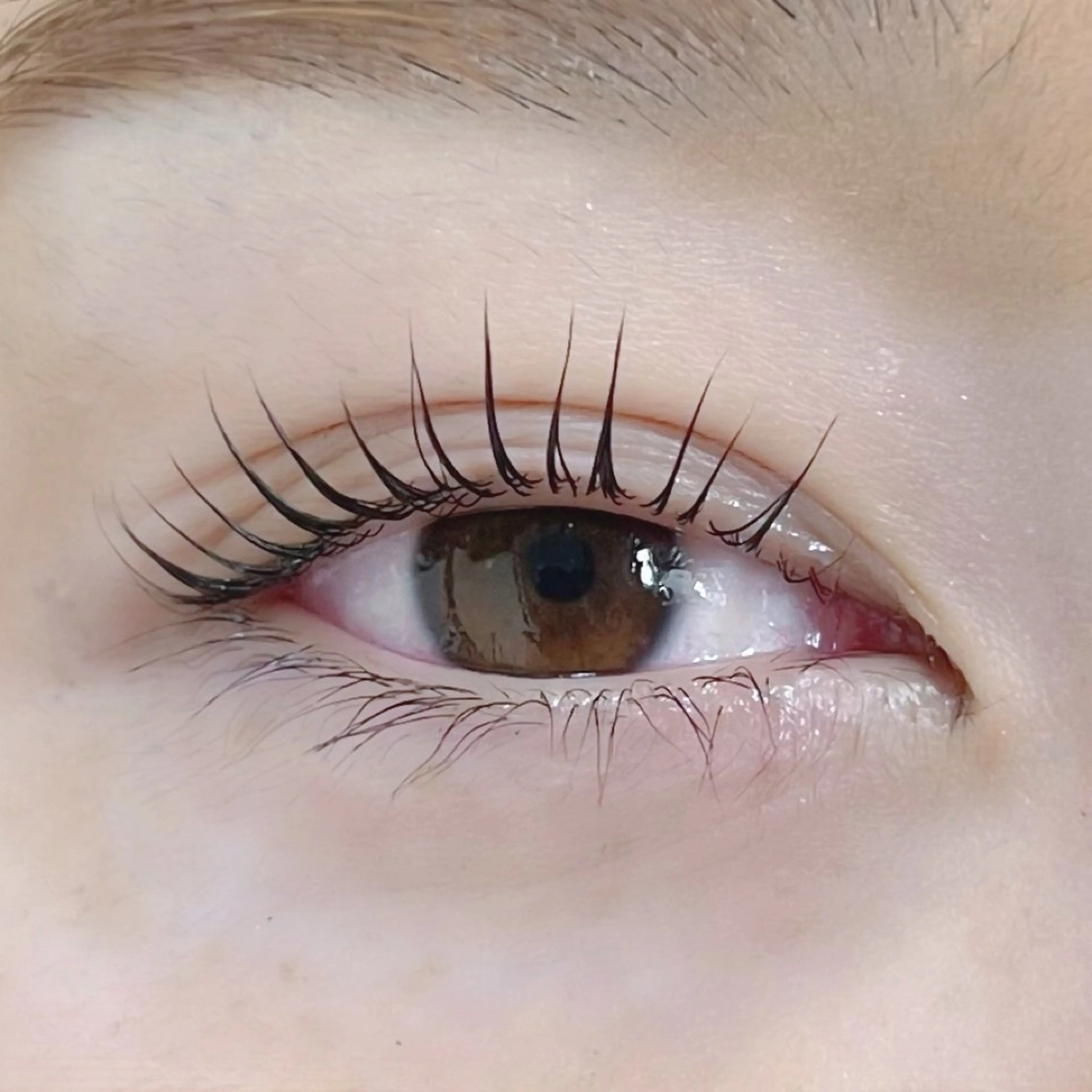 マツエク・マツパ パリジェンヌラッシュリフト Moe/韓国風/ 束感/キュート❤︎の眉毛・アイブロウイメージ