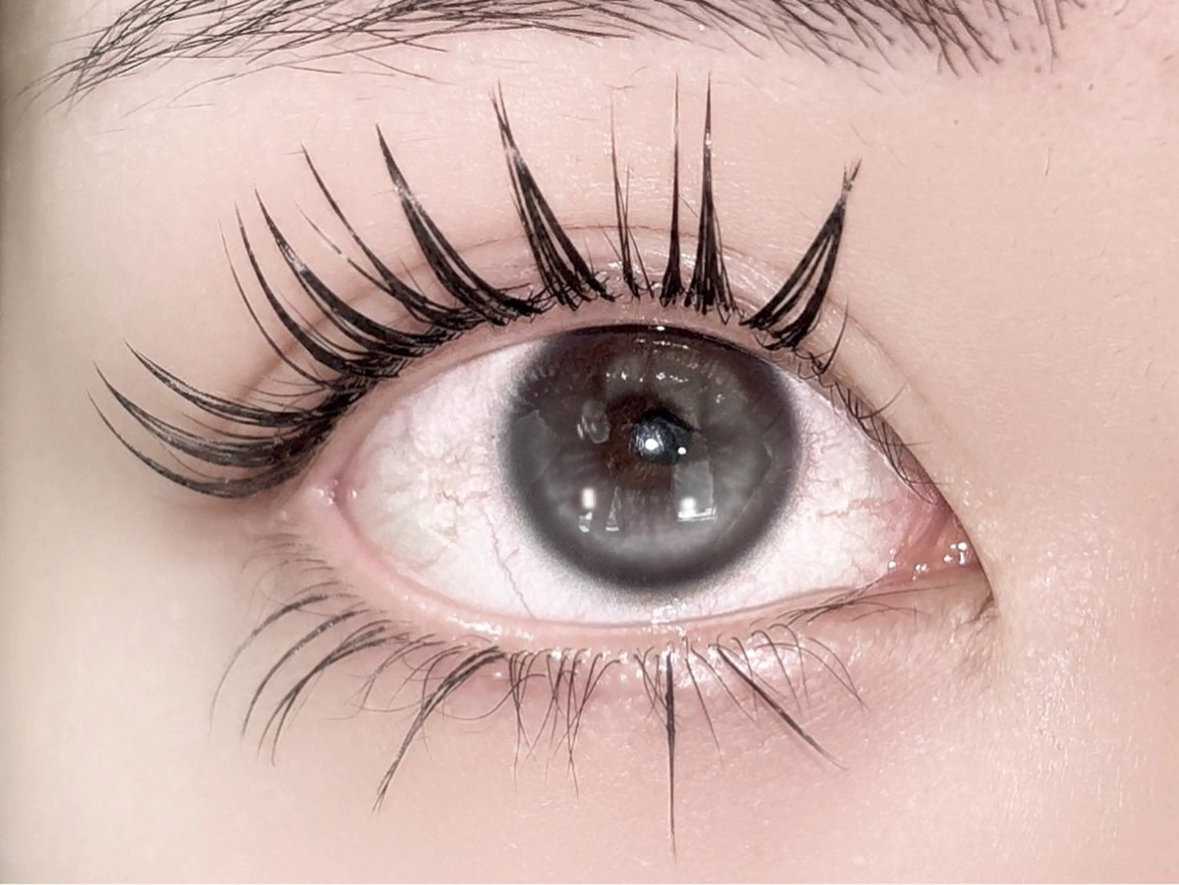 【リピーター様】30分リペア、下まつ毛コース※備考欄のメニューからお選びくださいの写真