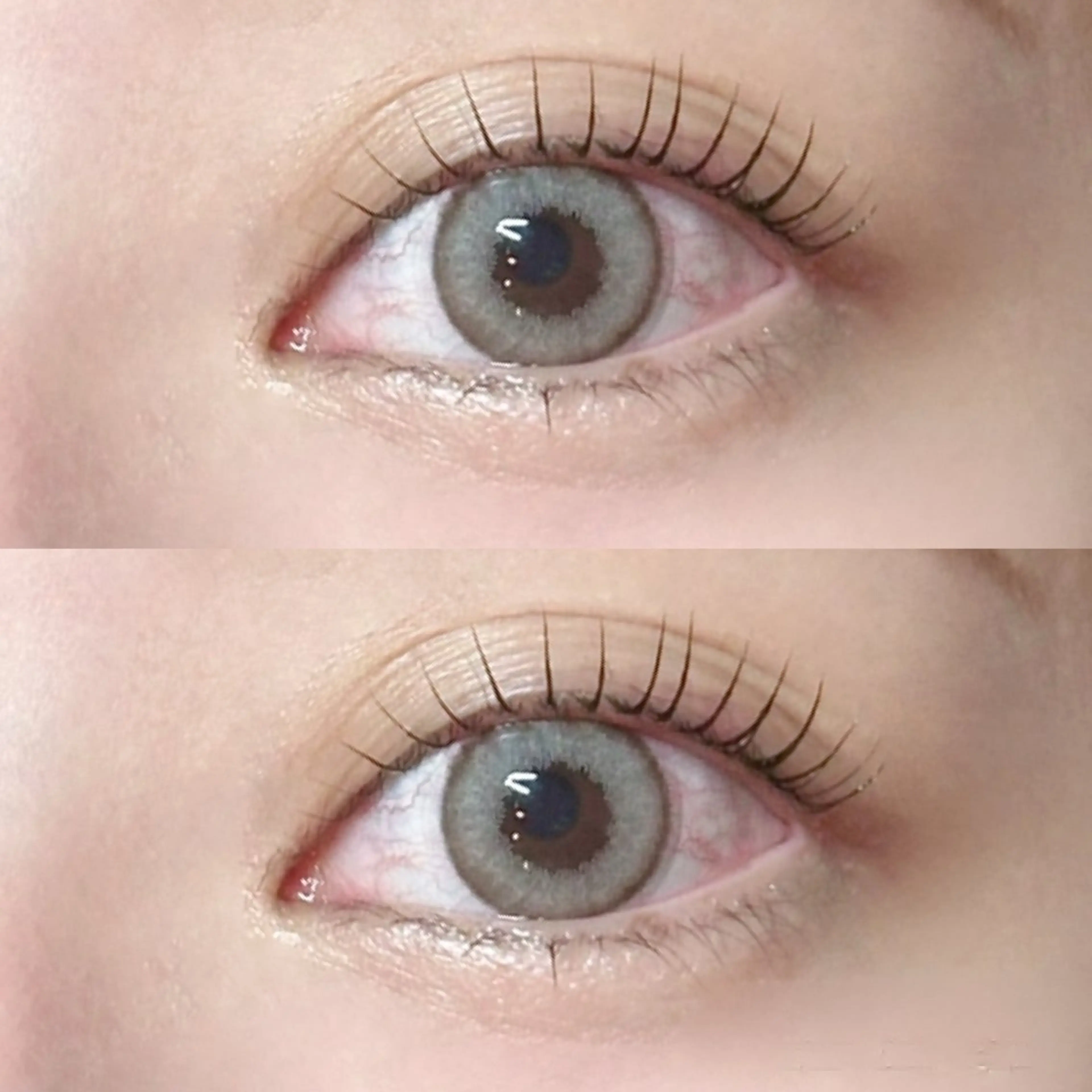 🚨当日限定クーポン🚨　まつ毛パーマ💞🎀＋高級💫コーティング付✨オフ込の写真