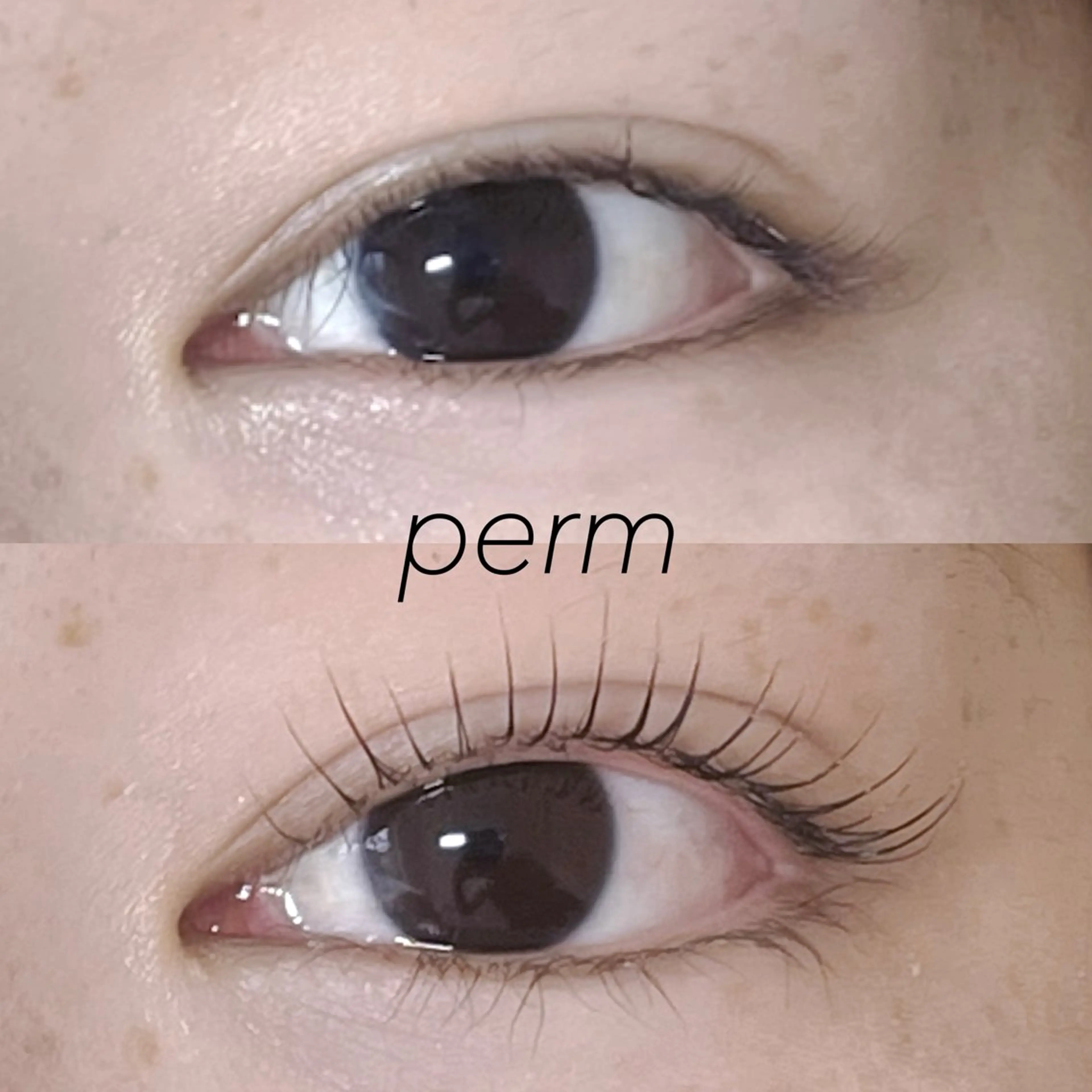 マツエク・マツパ Selas mmの眉毛・アイブロウイメージ