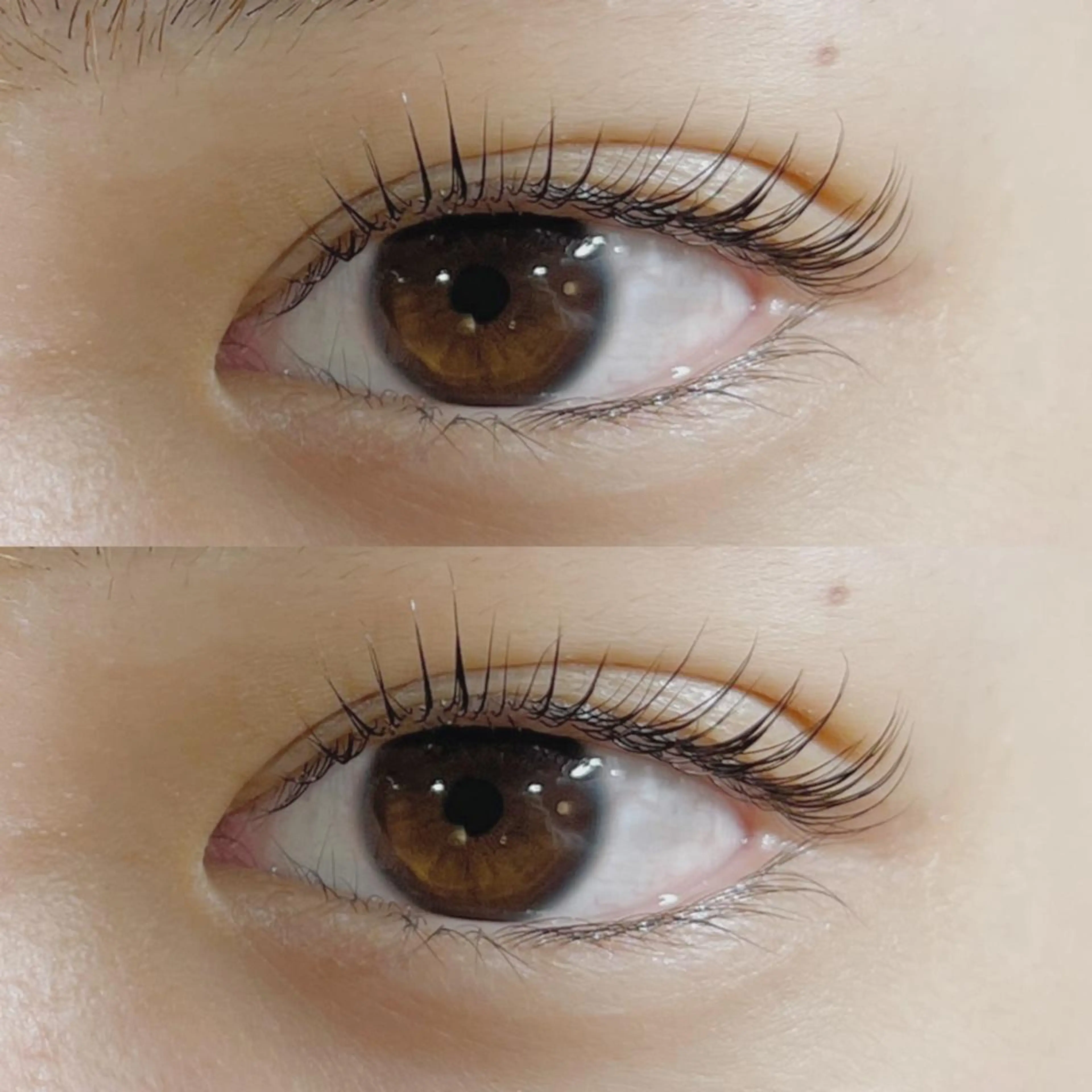 マツエク・マツパ 一重×まつ毛パーマ 本多 渚彩のマツエク・マツパデザイン