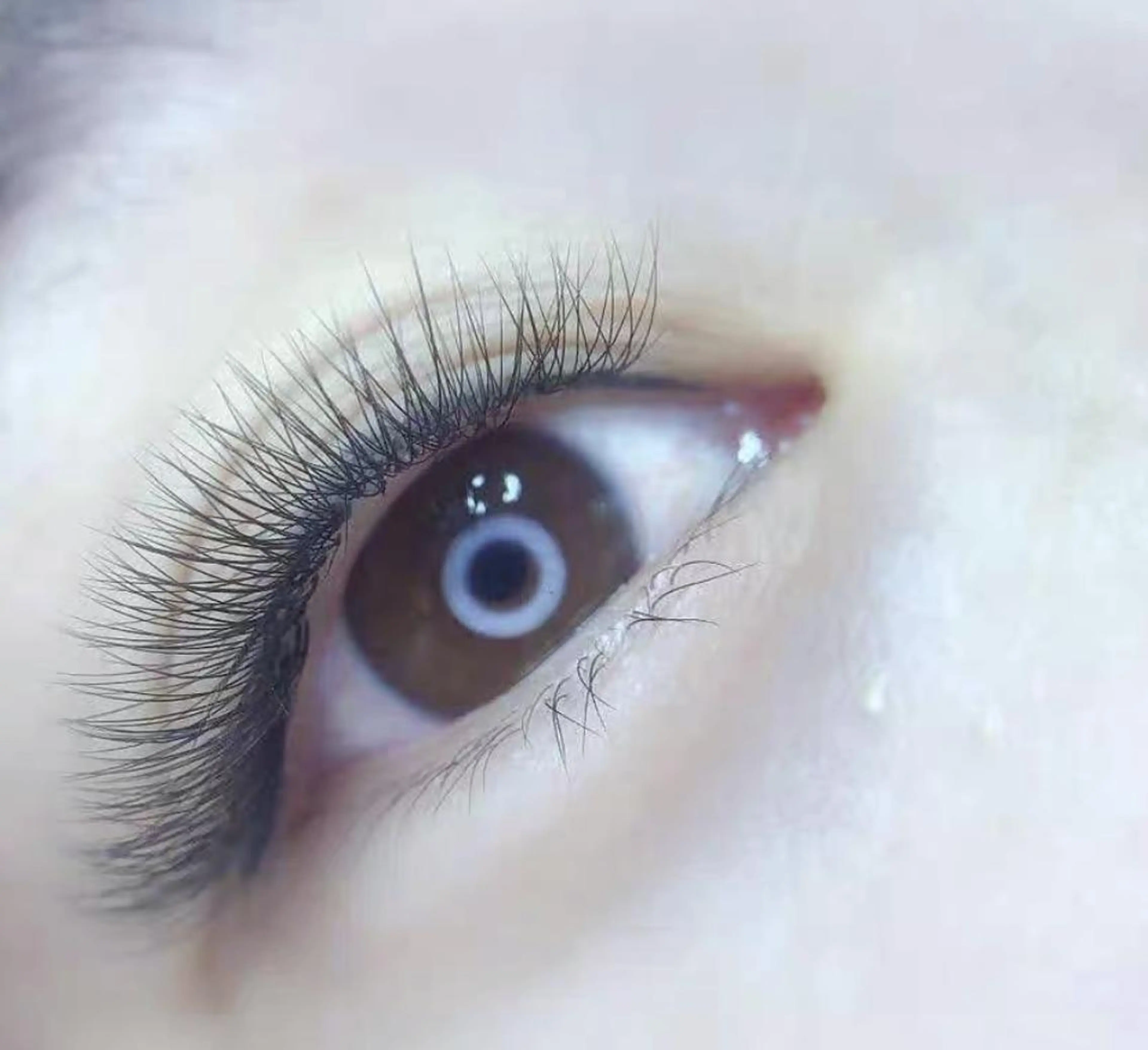 マツエク・マツパ Cute beauty2のマツエク・マツパデザイン