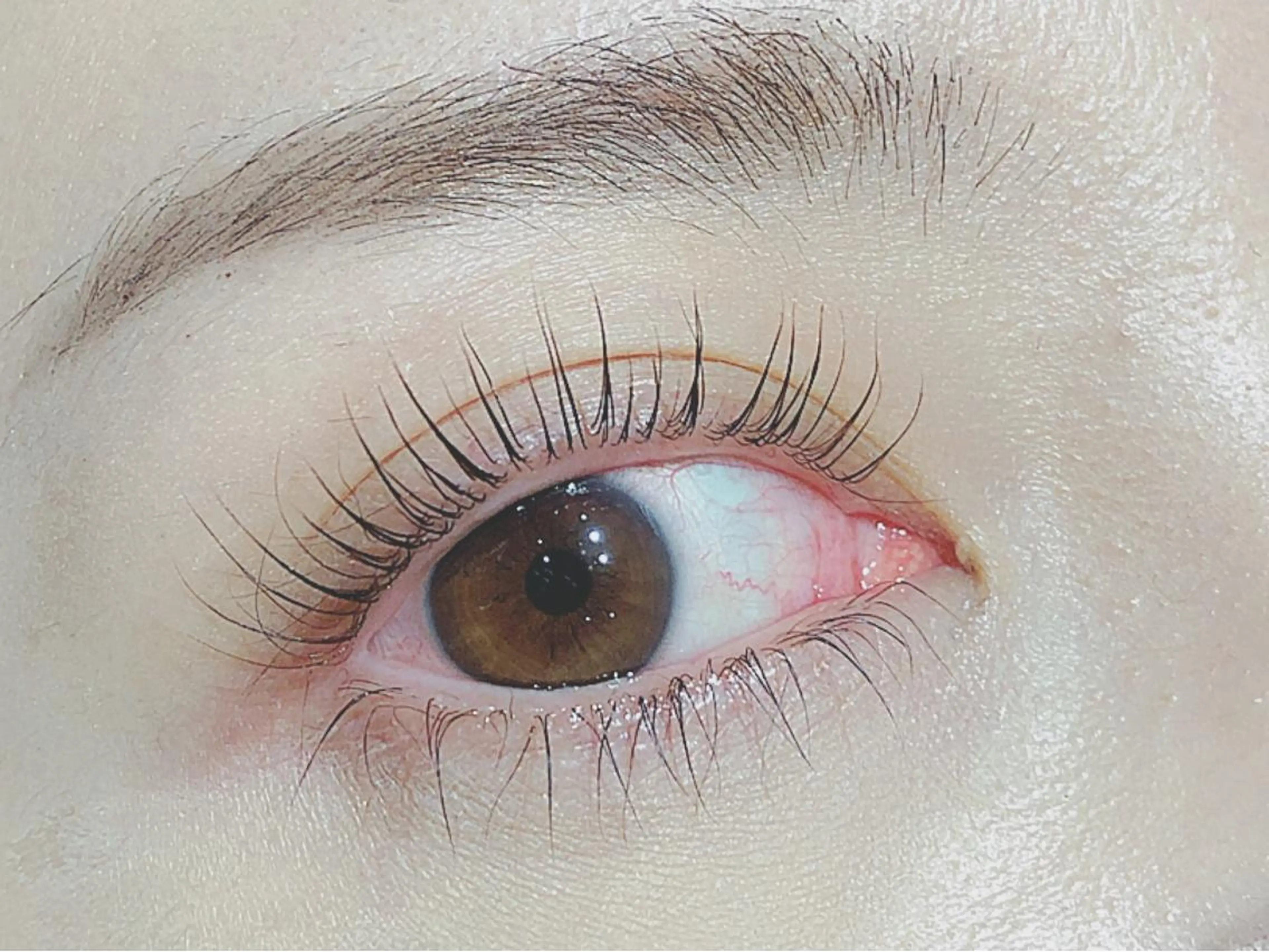 まつげカールトリートメント付きの写真