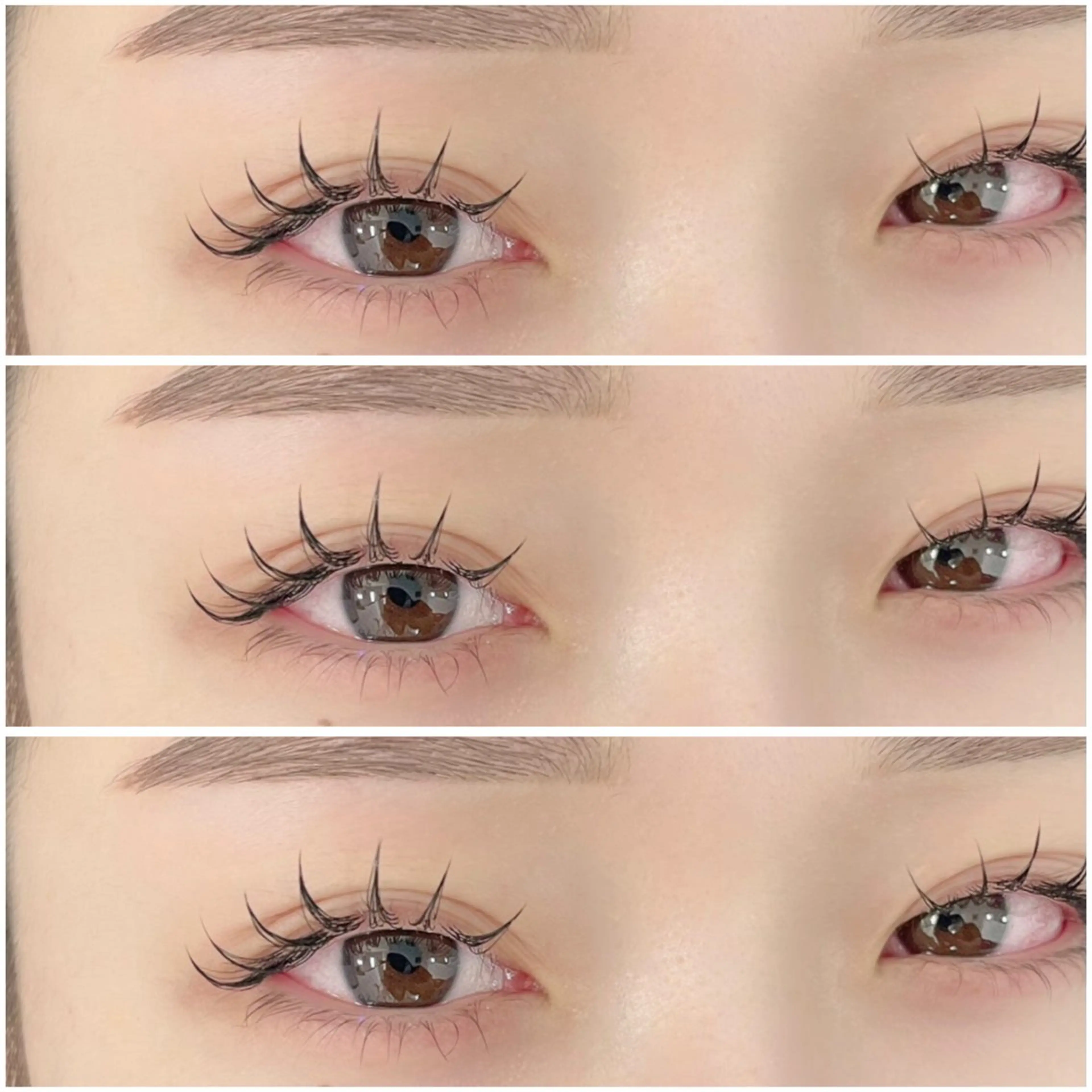 平日限定☆バインドロック120束(360本)の写真