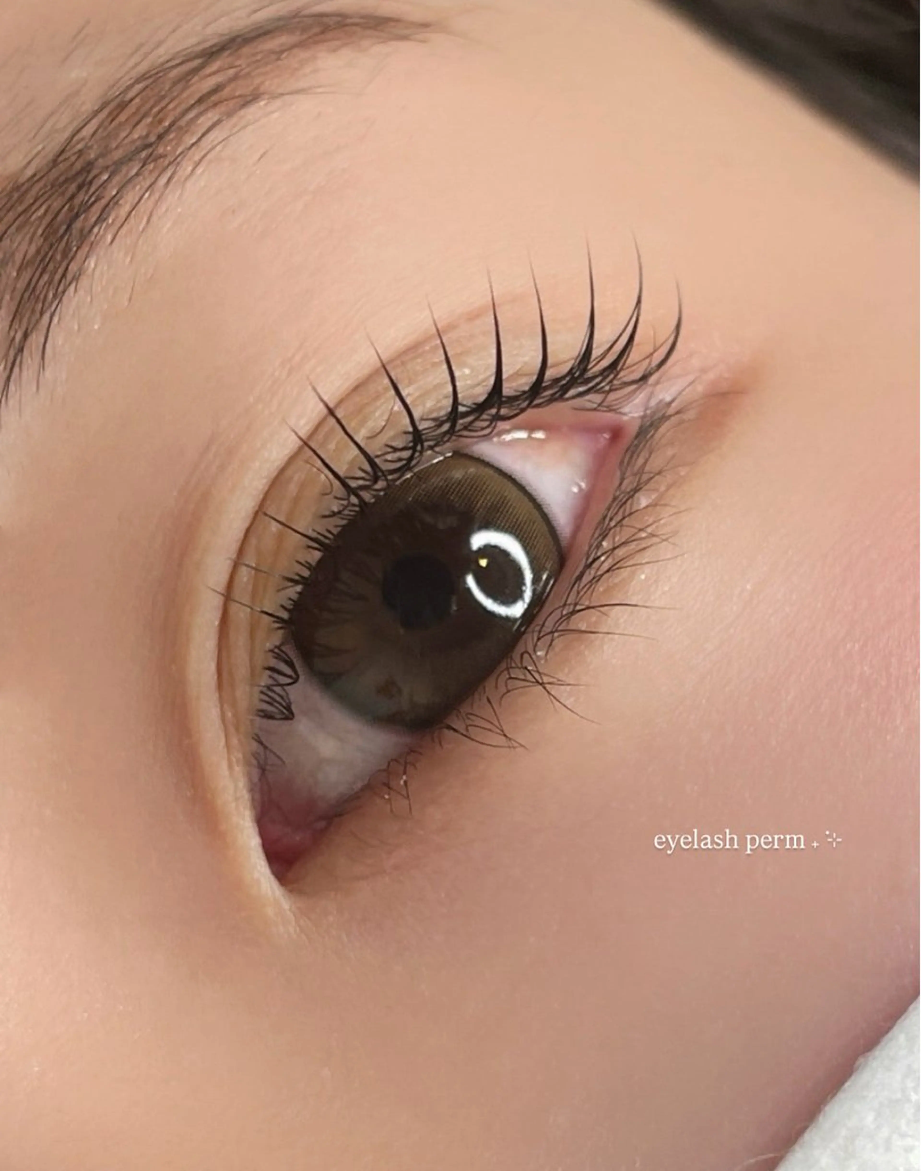 まつ毛パーマメニュー✨️の写真
