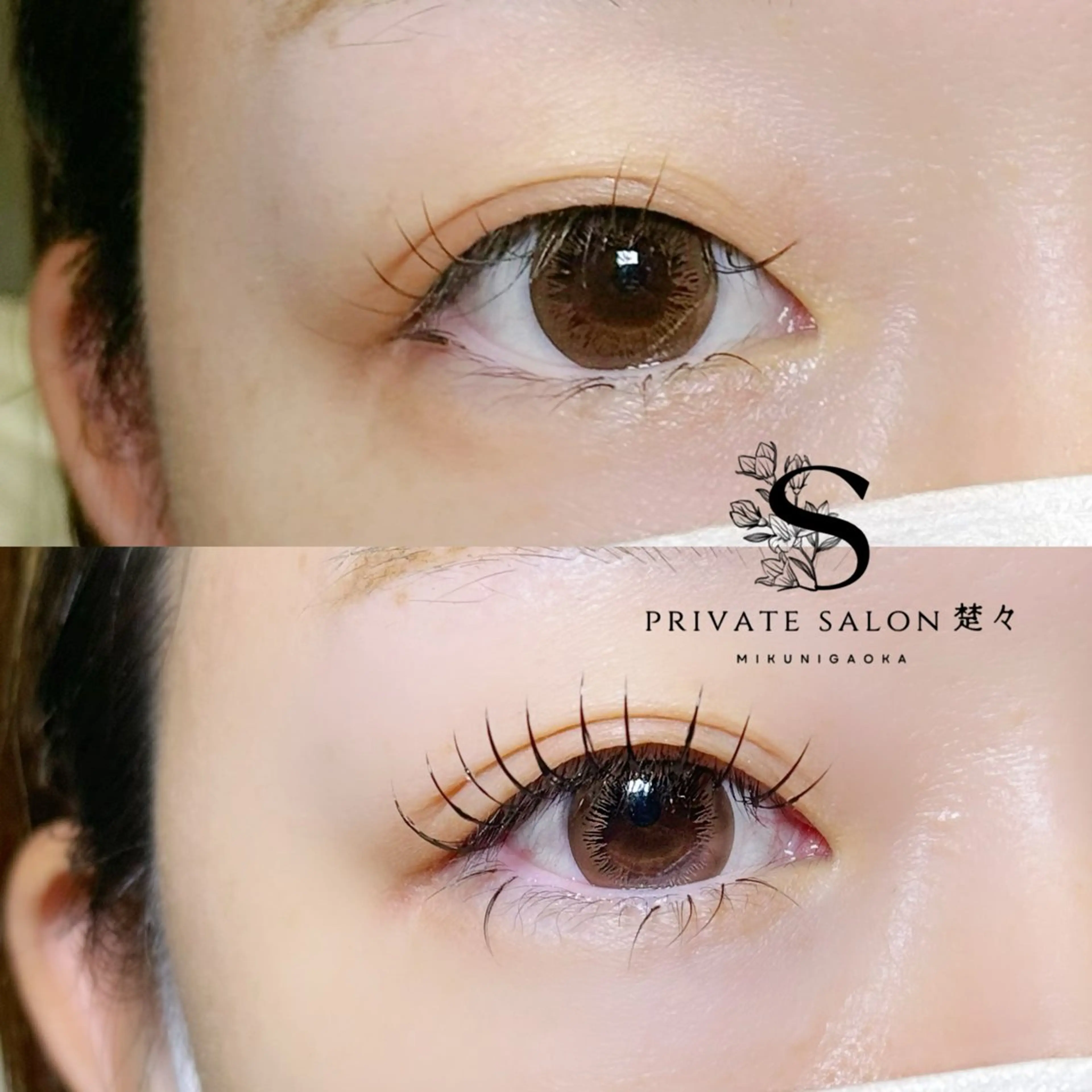 マツエク・マツパ Dカール マツエク プライベートサロン 楚々のマツエク・マツパデザイン