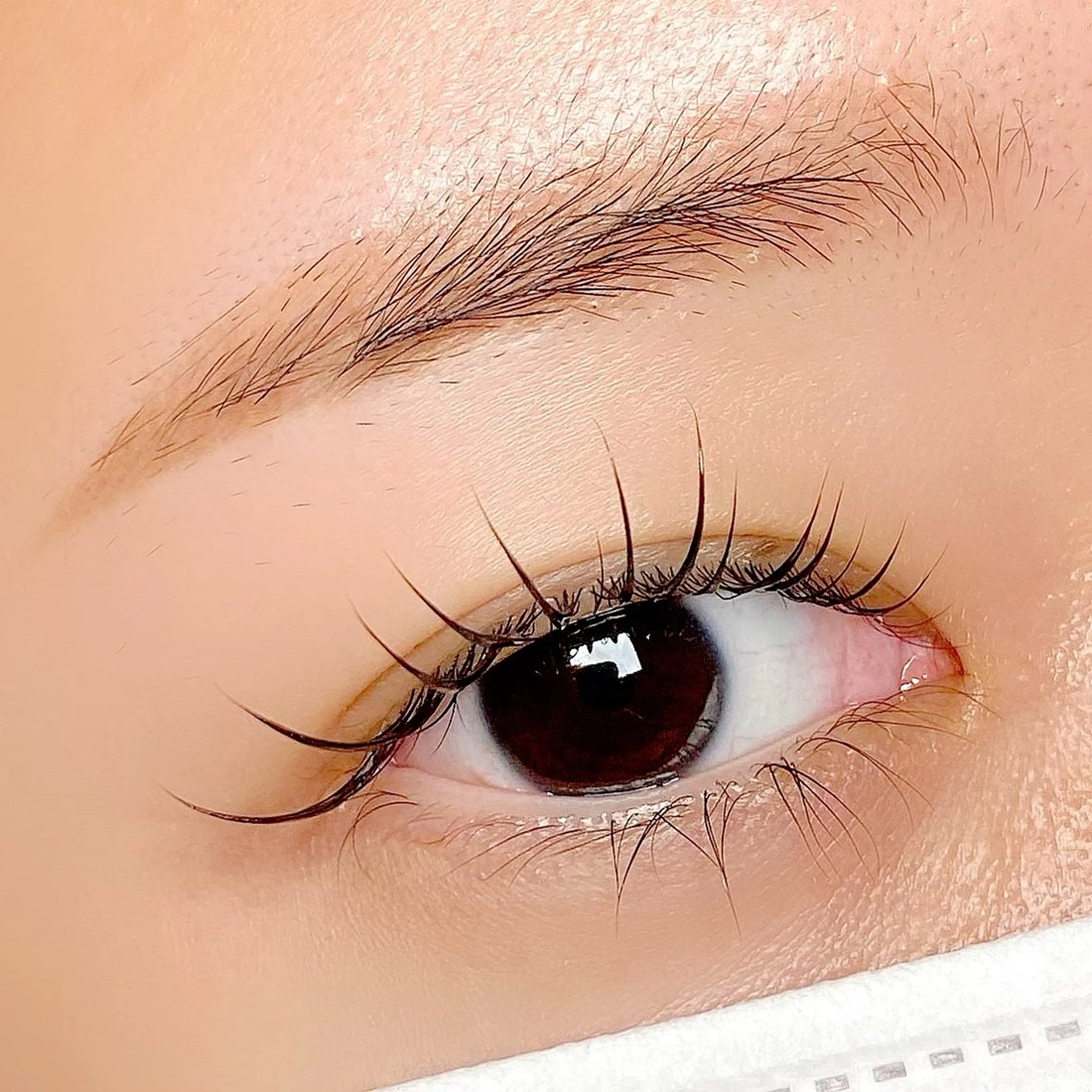 マツエク・マツパ フラットラッシュ パリジェンヌラッシュリフト ボリュームラッシュ マツパ 束感パリジェンヌ上下 恵比寿ayakaのマツエク・マツパデザイン