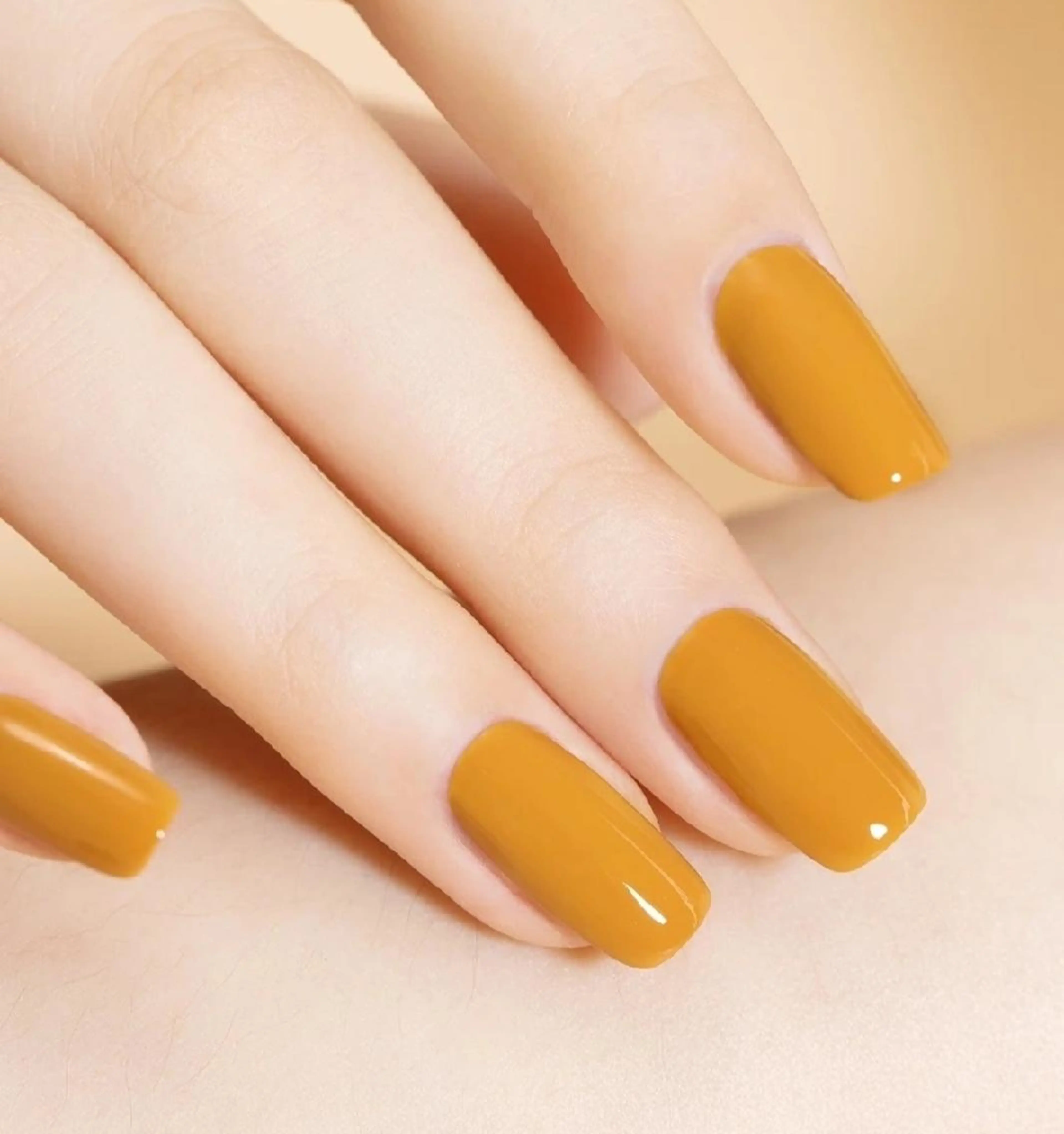 ワンカラー      【他店オフあり】の写真