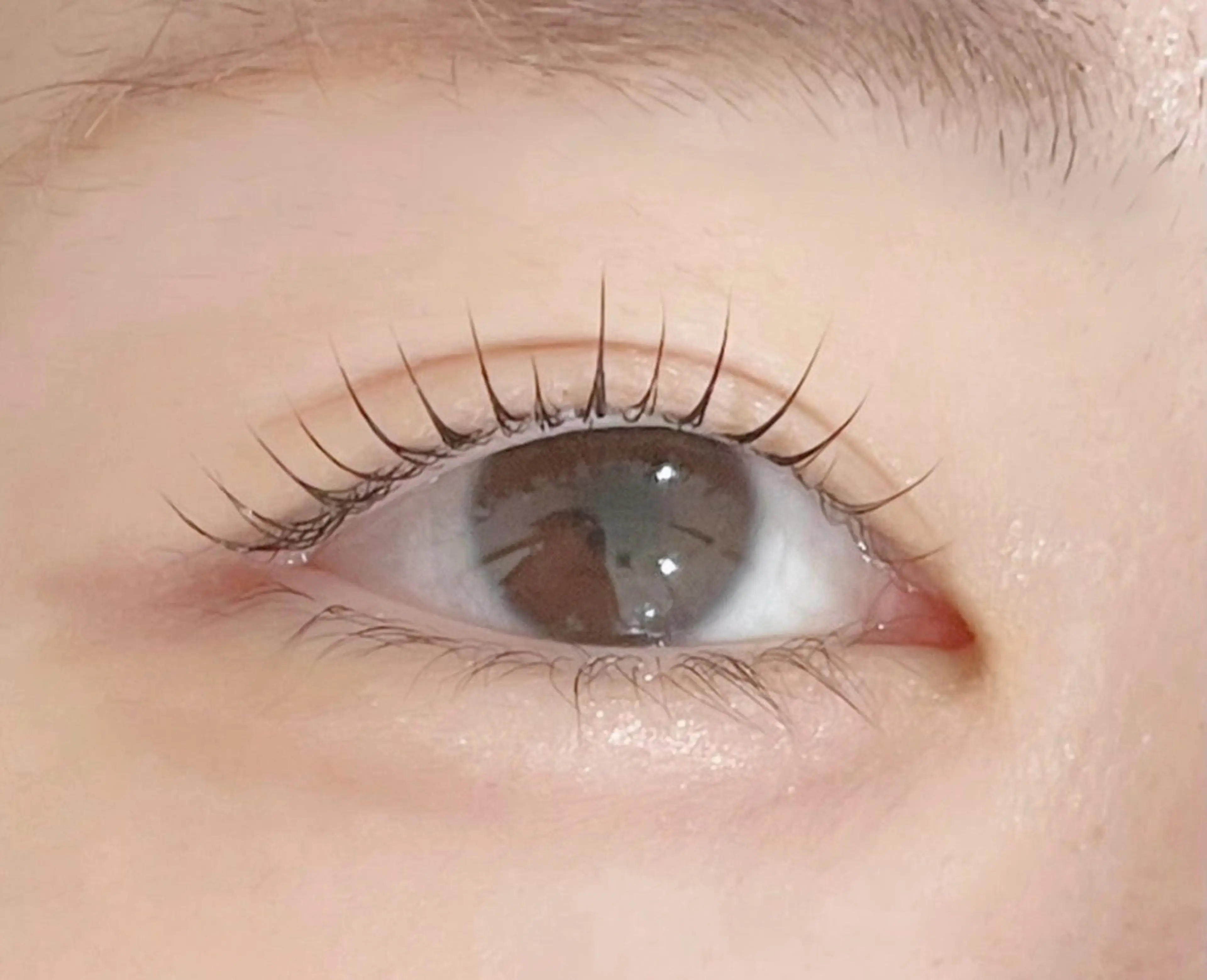 【まつげパーマ(上)】4月限定価格🌸✨根元から立ち上げ​〜​丸みのカールなどお好みデザイン🫧の写真